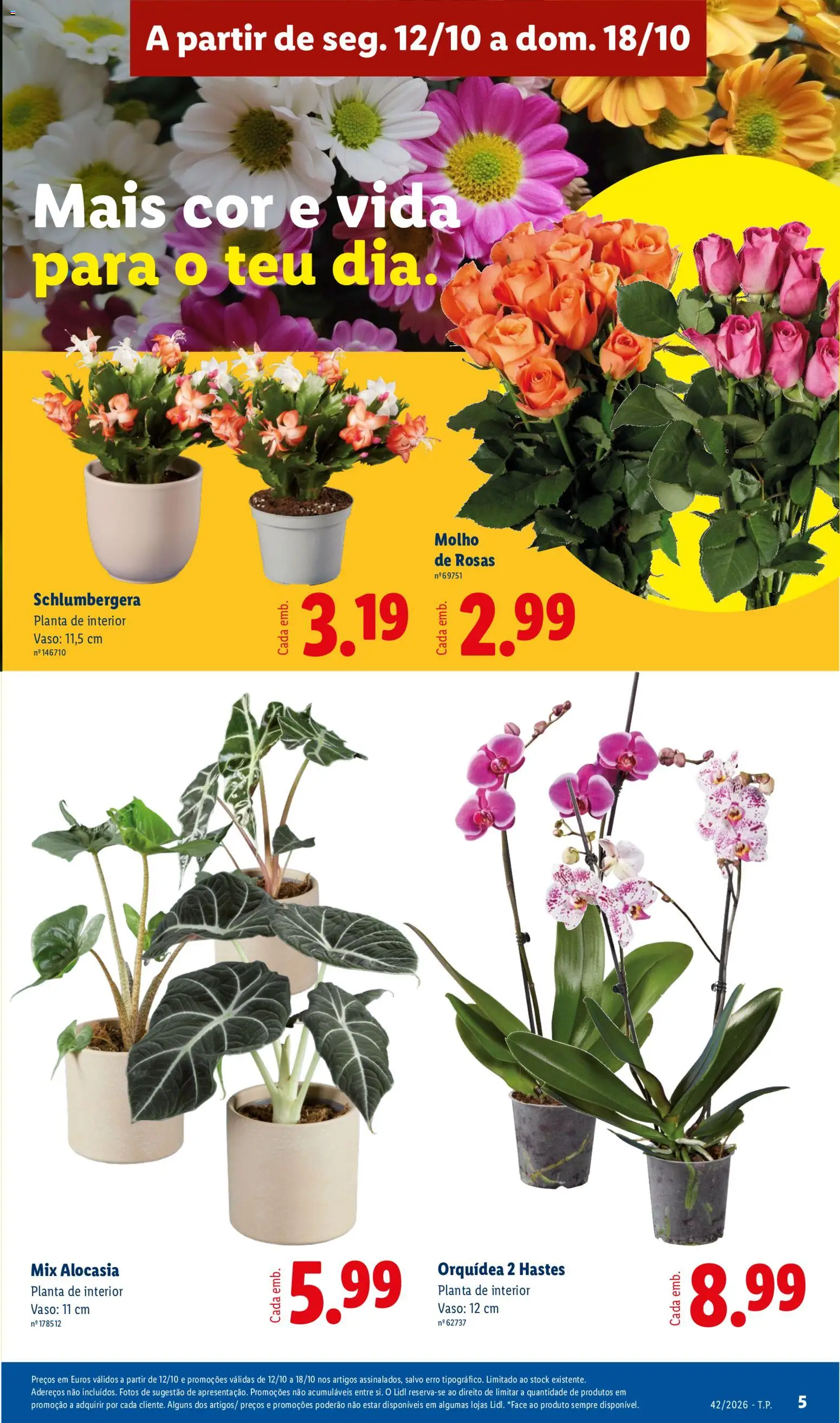 Lidl folheto │ válido de 12/10/2026 | Página: 5