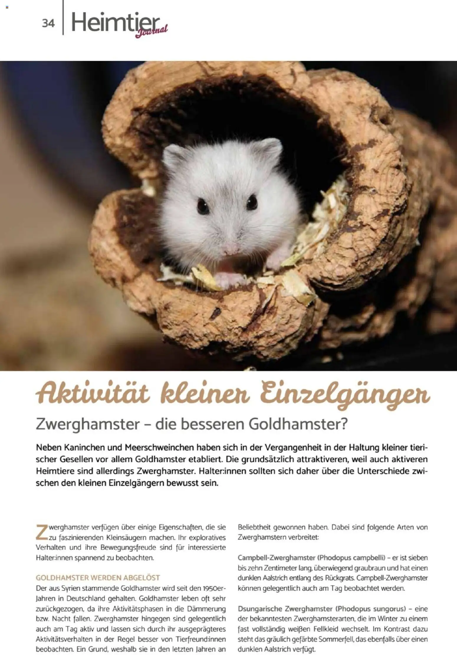 zookauf Heimtier Journal – gültig ab 01.10.2026 | Seite: 34 | Produkte: Kaninchen