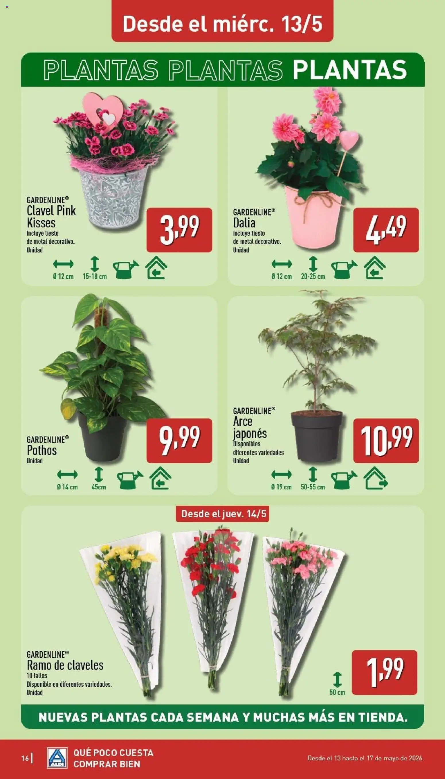 Aldi folleto Península │ válido desde el 11.05.2026 | Página: 16