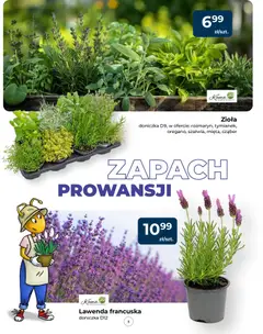 Pogląd oferty "Mrówka gazetka" - ważna od 14.05.2026 | Strona: 5 | Produkty: Doniczka, Zapach