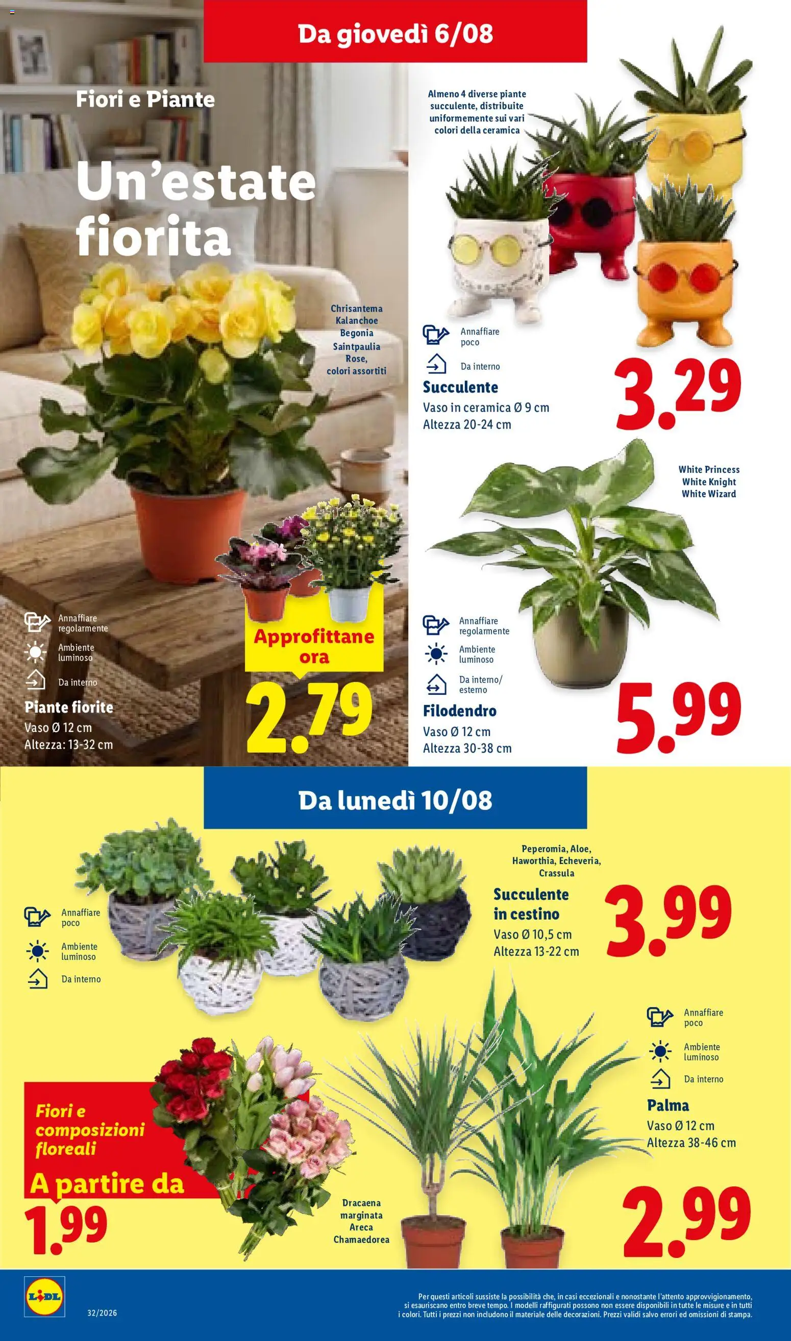 Volantino Lidl del 06/08/2026 | Pagina: 32 | Prodotti: Fiori, Cestino, Vaso