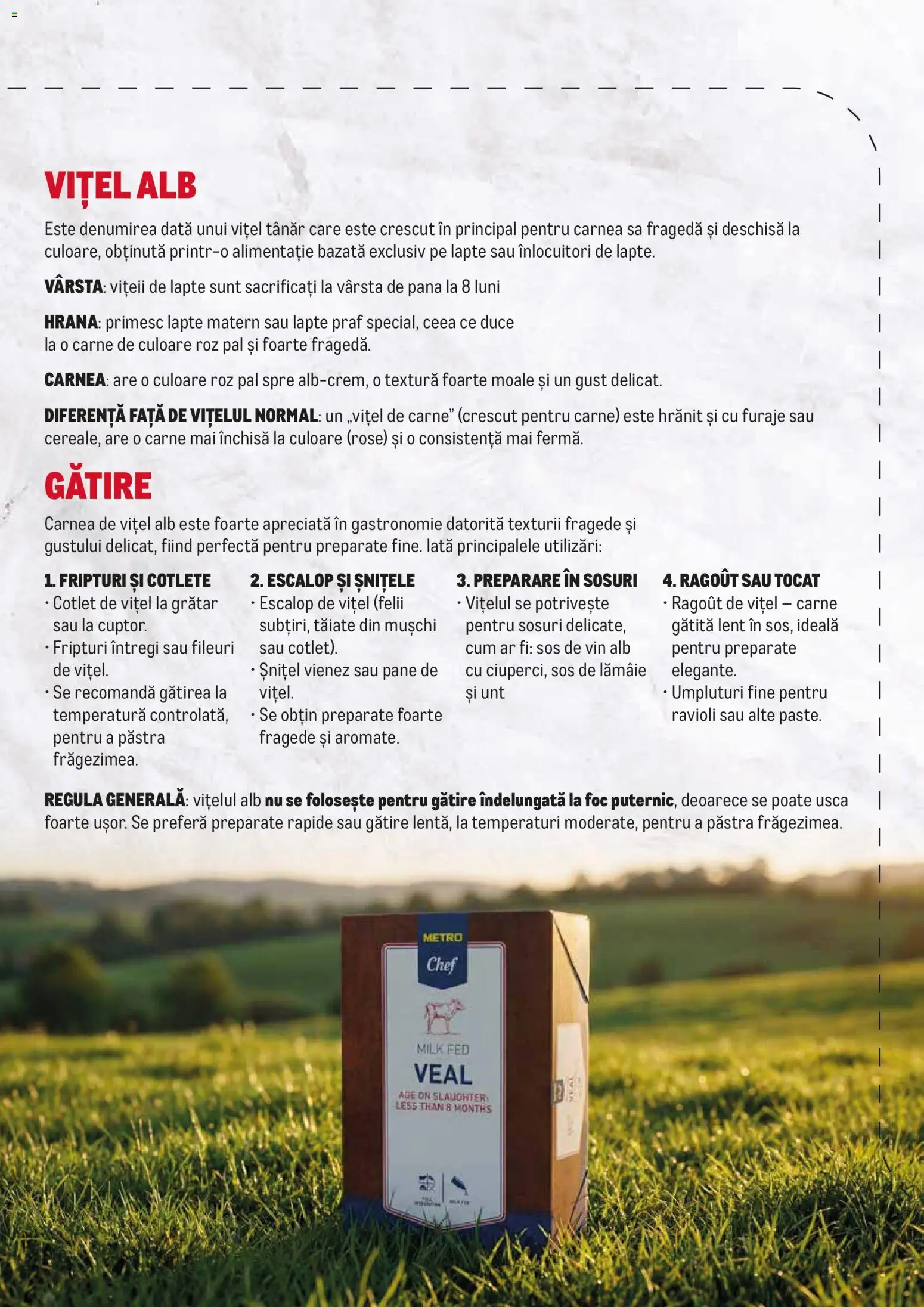 Noul catalog Metro – valabil de la 23.02.2026 | Pagină: 2 | Produse: Lapte praf, Grătar, Sos, Lămâie