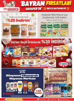 20.05.2026 tarihinden itibaren geçerli olan Grosper kataloğu önizlemesi | Sayfa: 10 | Ürünler: Papaya, Krem, Ihlamur, Tuz