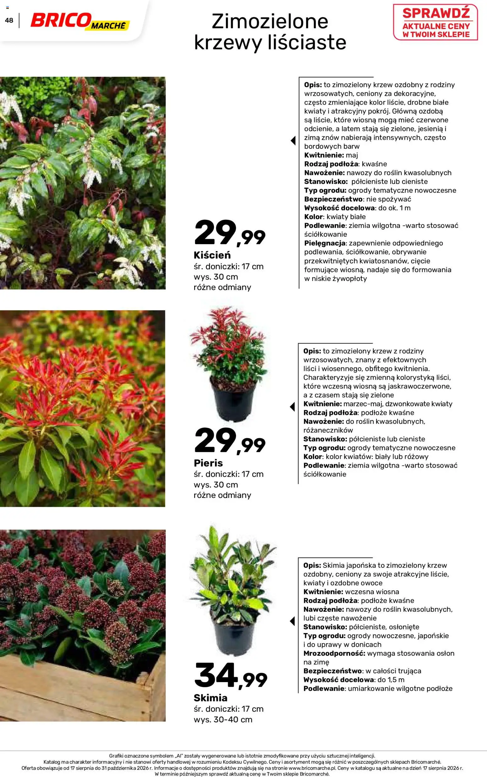 Brico Marché gazetka - Jesienne Inspiracje od 17.08.2026 | Strona: 48 | Produkty: Podłoże, Ziemia, Doniczki, Kwiaty