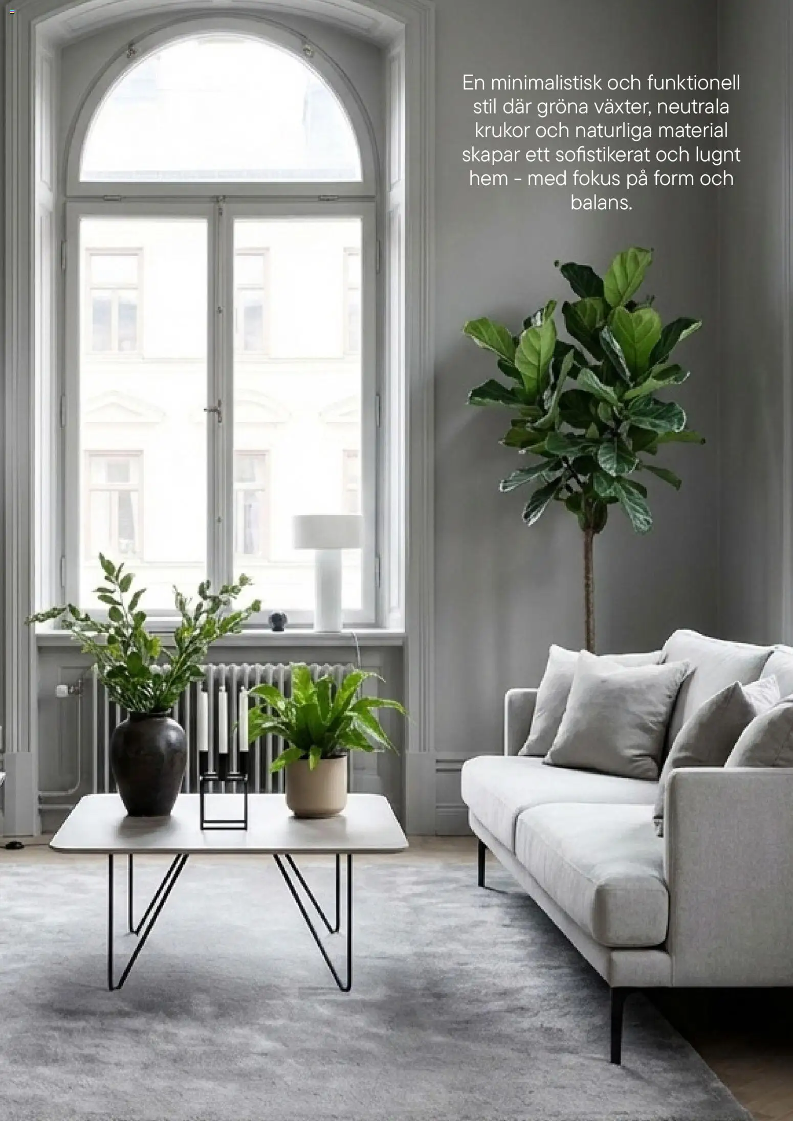 Plantagen reklamblad aktuell från 13.01.2026 | Sida: 11