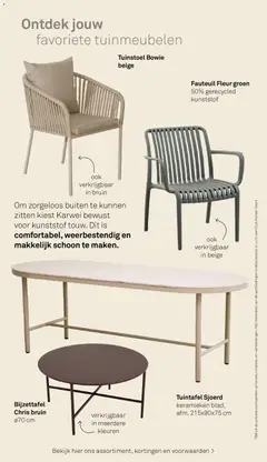 KARWEI folder - Tuin special - decoratief - Voorbeeld van een folder van KARWEI, geldig van 01-03-2026 | Pagina: 21 | Producten: Fauteuil