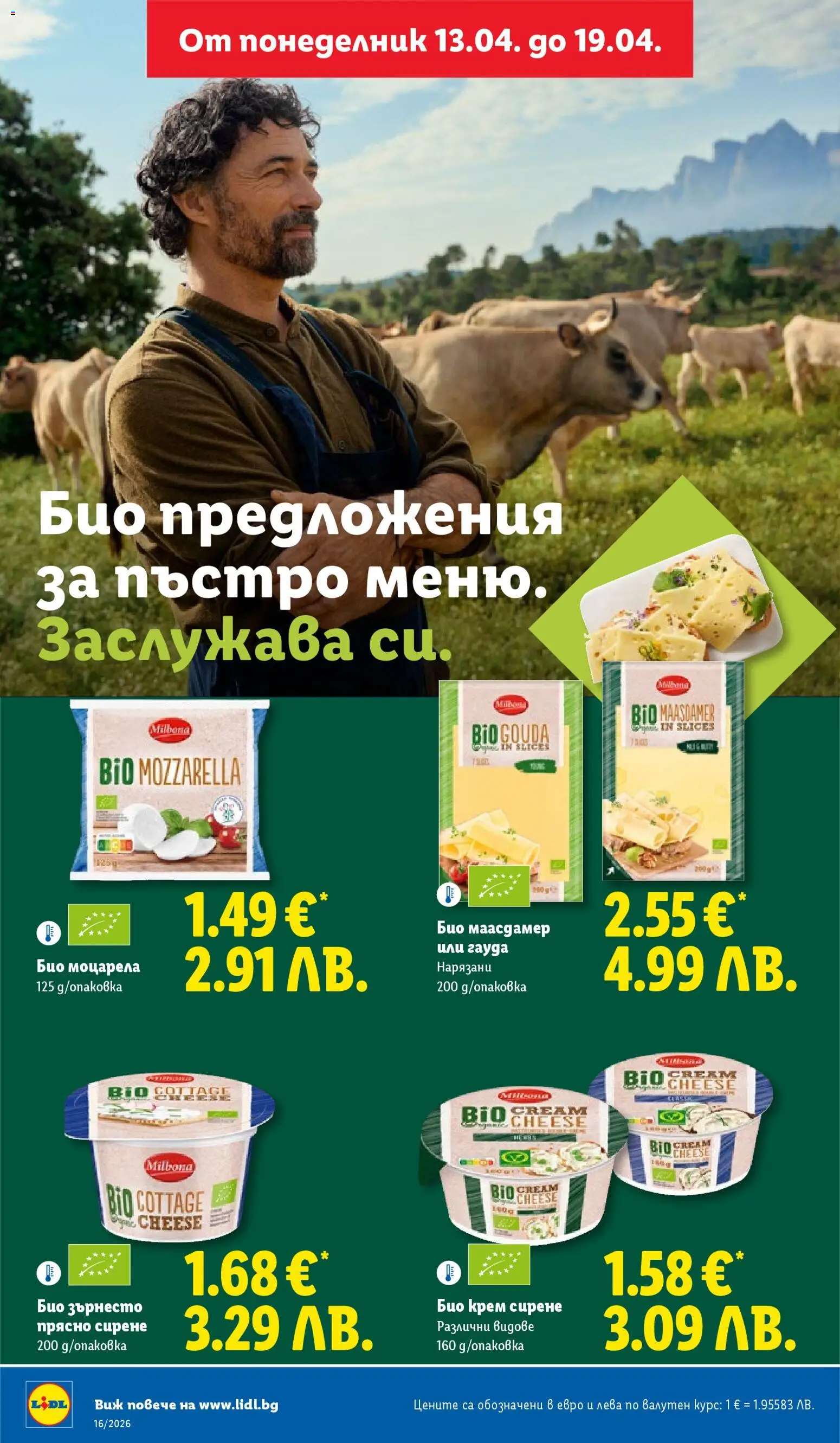 {H1} | Страница: 26 | Продукти: Крем, Olives, Сирене, Гауда