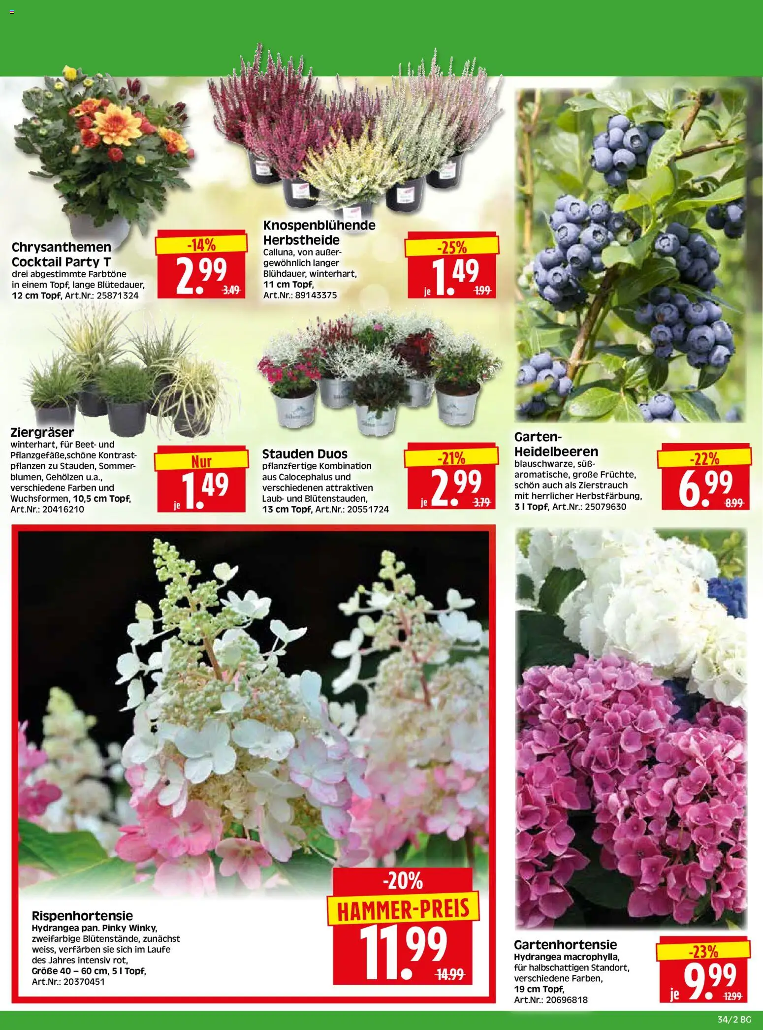 HERKULES Bau & Garten – gültig ab 17.08.2026 | Seite: 2 | Produkte: Heidelbeeren