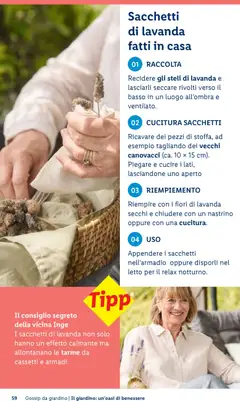 Anteprima del volantino Sacchetti di lavanda fatti in casa, Recidere gli steli di lavanda e lasciarli seccare rivolti verso il basso in un luogo all'ombra e ventilato. Ricavare dei pezzi di stoffa, ad esempio tagliando dei vecchi canovacci (ca. 10 x 15 cm). Piegare e cucire i lati, lasciandone uno aperto. Riempire con i fiori di lavanda secchi e chiudere con un nastrino oppure con una cucitura. Appendere i sacchetti nell'armadio oppure disporli nel letto per il relax notturno. valido a partire dal 23.04.2026 | Pagina: 59 | Prodotti: Lavanda, Letto