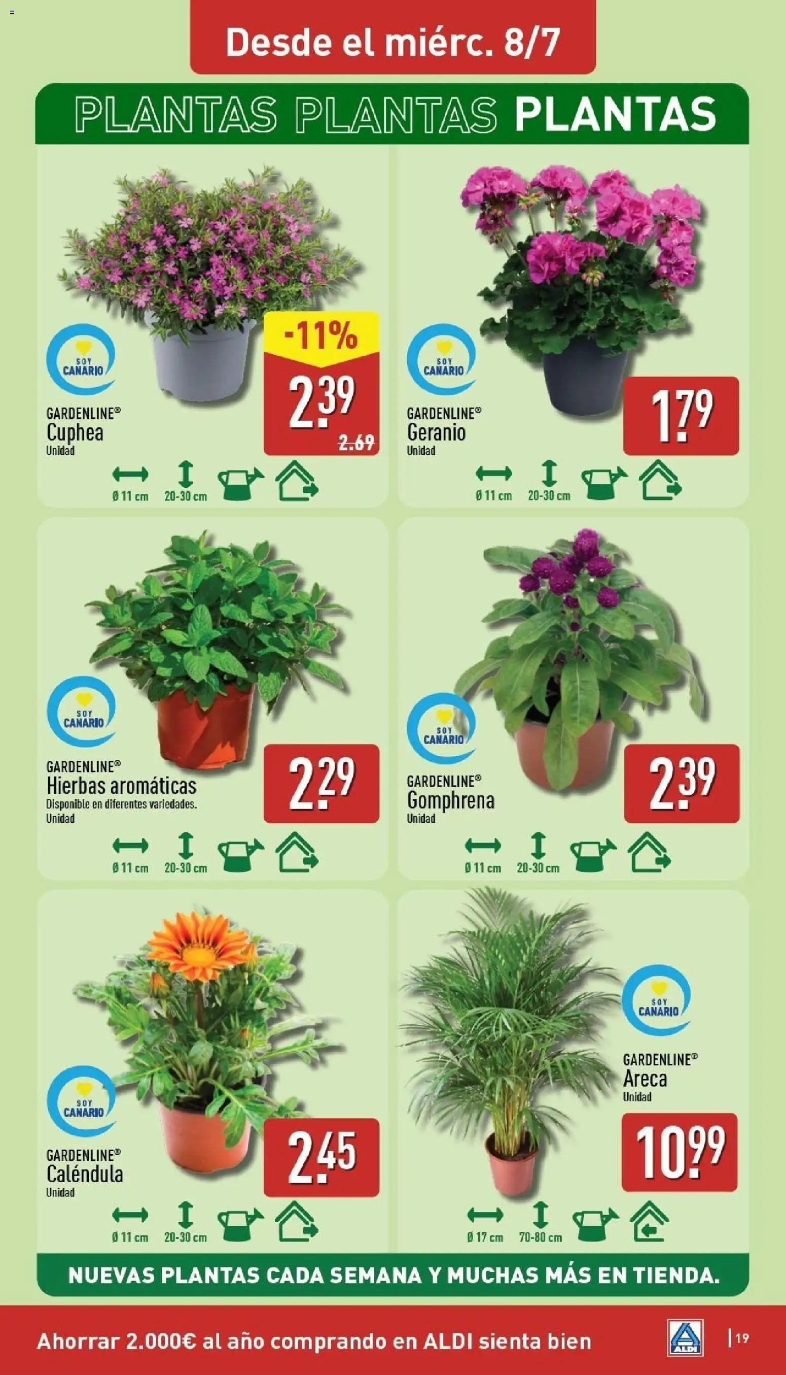 Aldi folleto Canarias │ válido desde el 06/07/2026 | Página: 19
