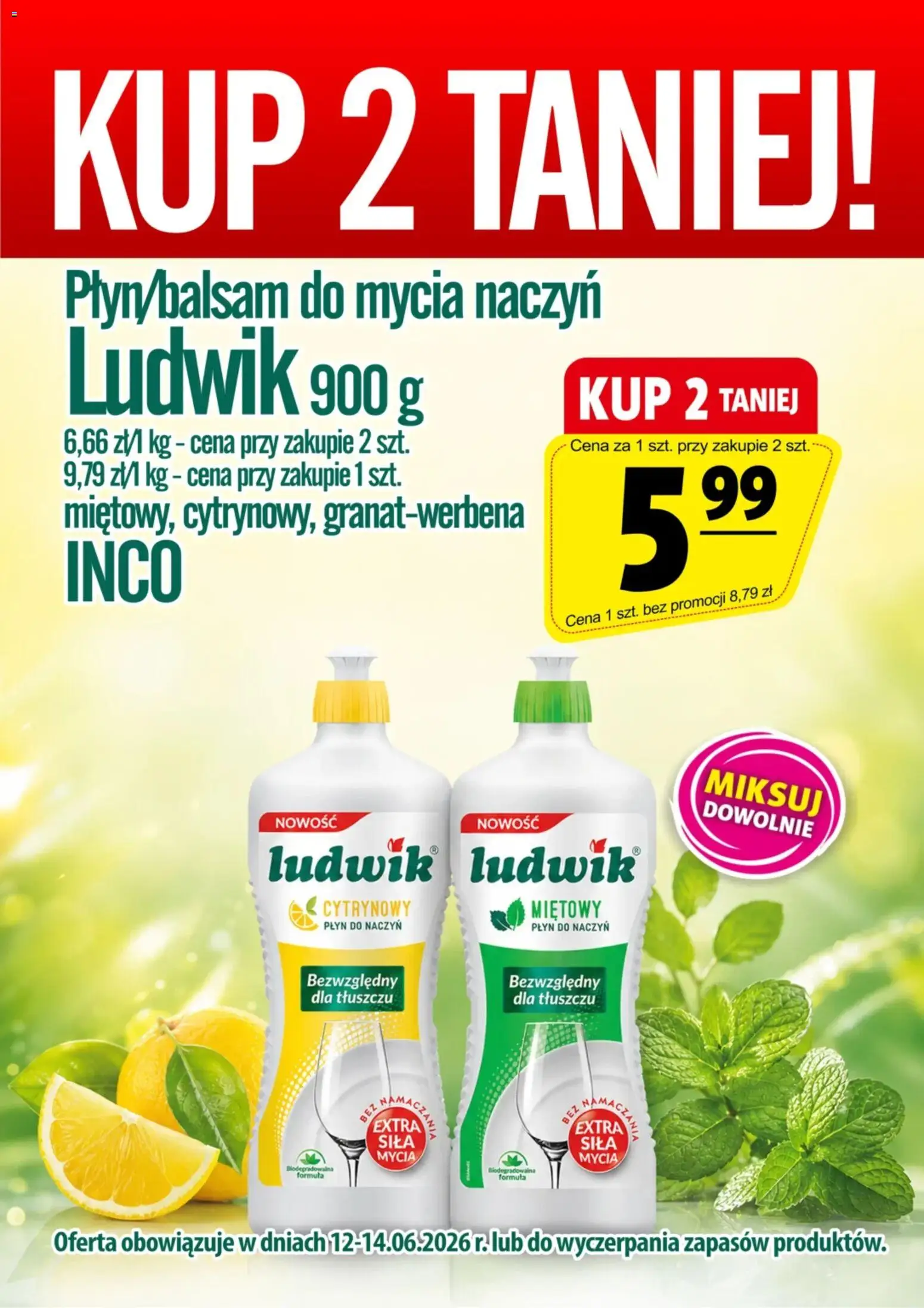 Prim Market promocja - Płyn Do Mycia Naczyń Ludwik od 12.06.2026 | Strona: 1