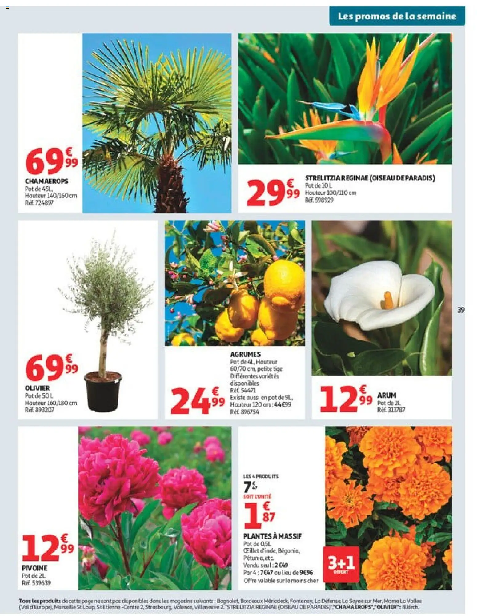 {H1} | Page: 39 | Produits: Plantes, Olivier