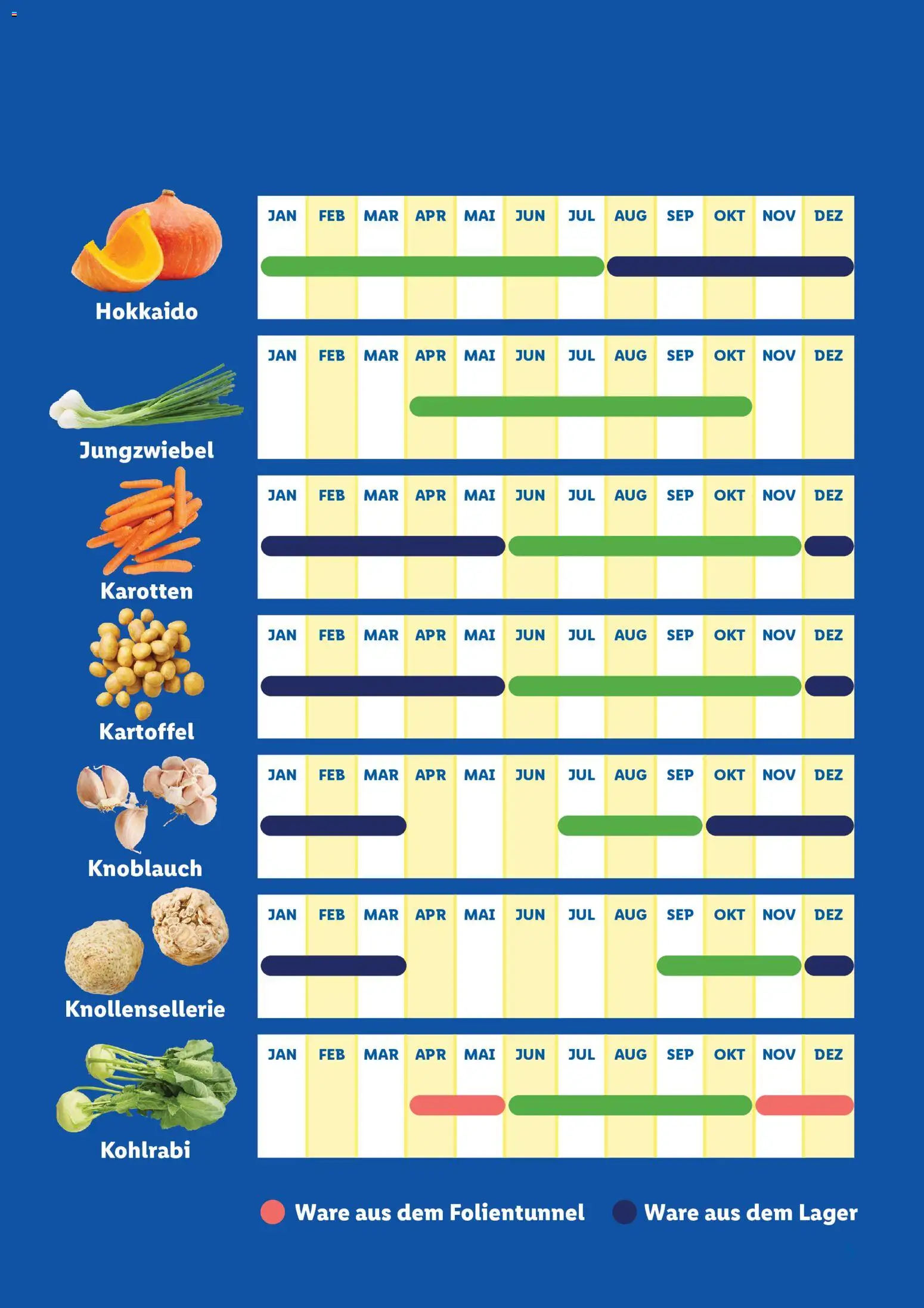 Lidl  Saisonkalender - Obst und Gemüse gültig ab 01.01.2026 | Seite: 5 | Produkte: Knoblauch