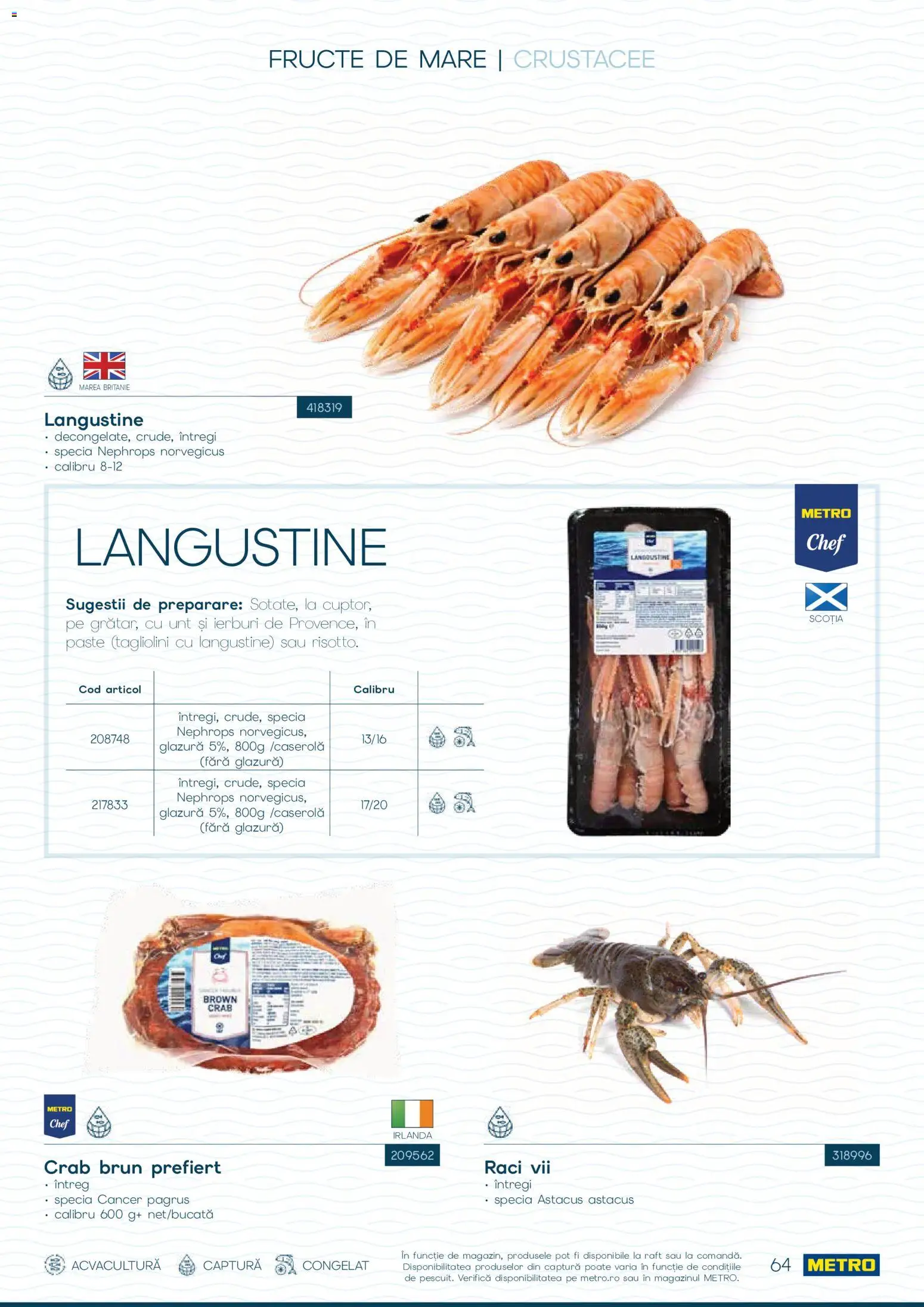 Noul catalog Metro – valabil de la 01.10.2026 | Pagină: 64 | Produse: Raft, Paste, Fructe, Fructe De Mare