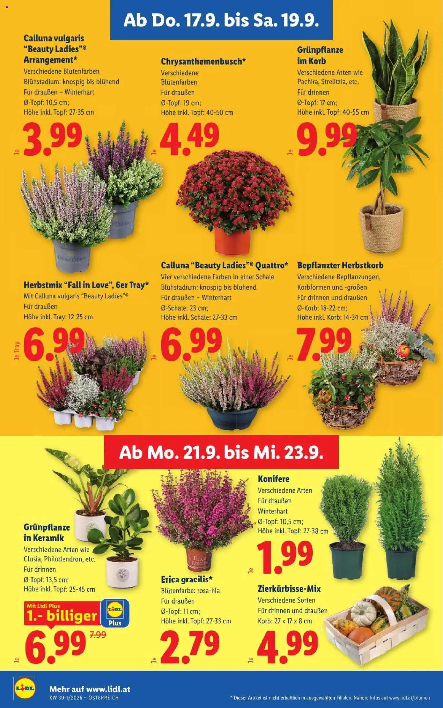 Lidl - Flugblatt gültig ab 17.09.2026 | Seite: 28