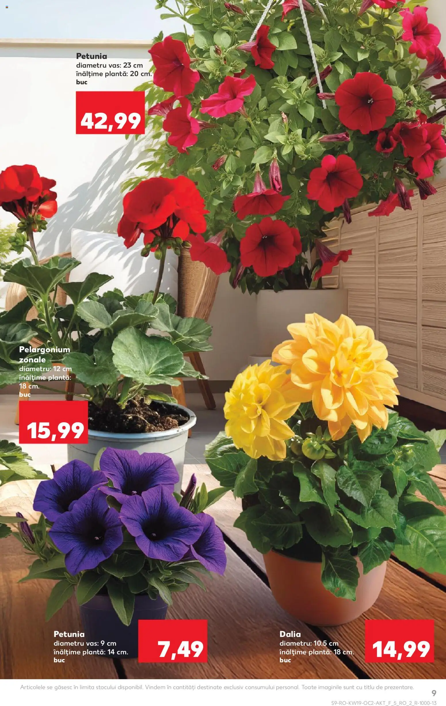 Noul catalog Kaufland – valabil de la 06.05.2026 | Pagină: 9