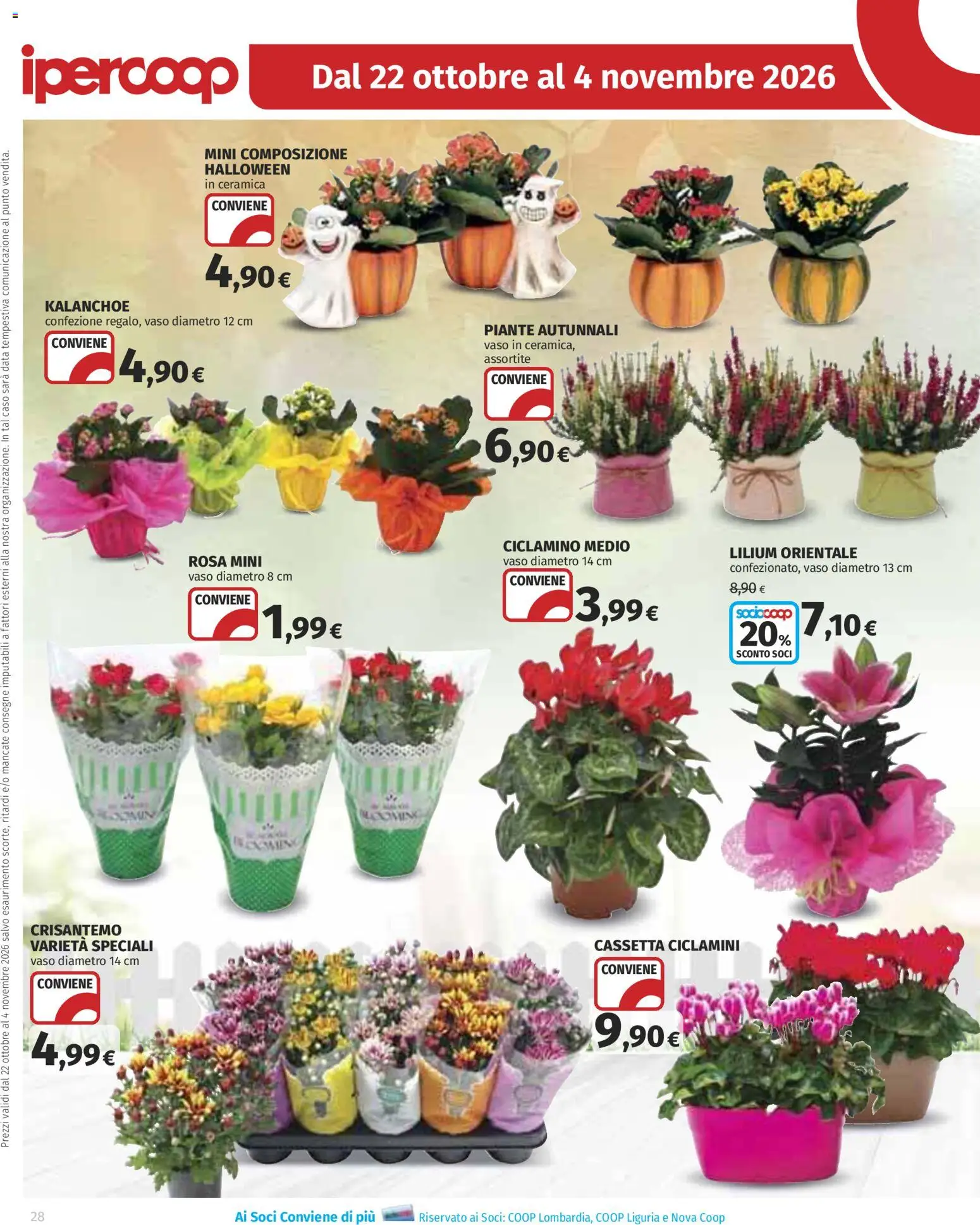 Volantino Ipercoop del 22/10/2026 | Pagina: 28