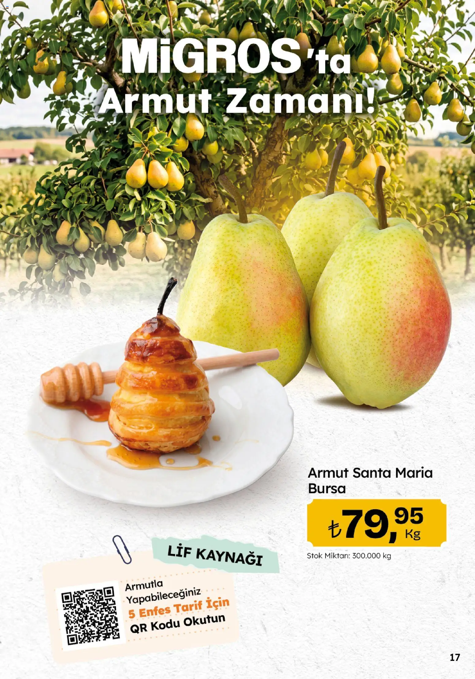 Migros Katalog - 5M Migroskop Dijital - 10 Eylül 2026 tarihinden itibaren geçerlidir | Sayfa: 17 | Ürünler: Armut