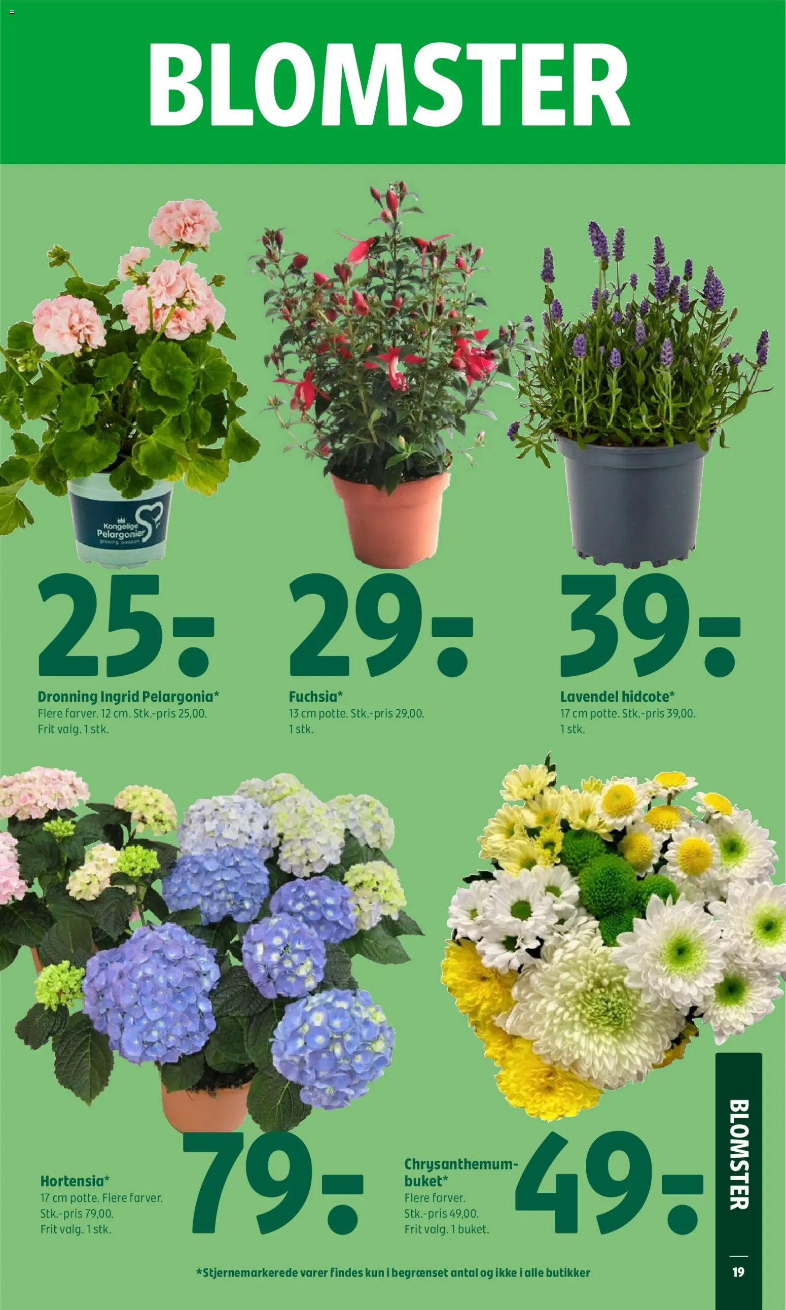 Coop 365 tilbudsavis – gyldig fra 28.05.2026 | Side: 24