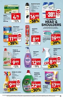 Ofertele Profi valabile de la 15.10.2026 | Pagină: 13