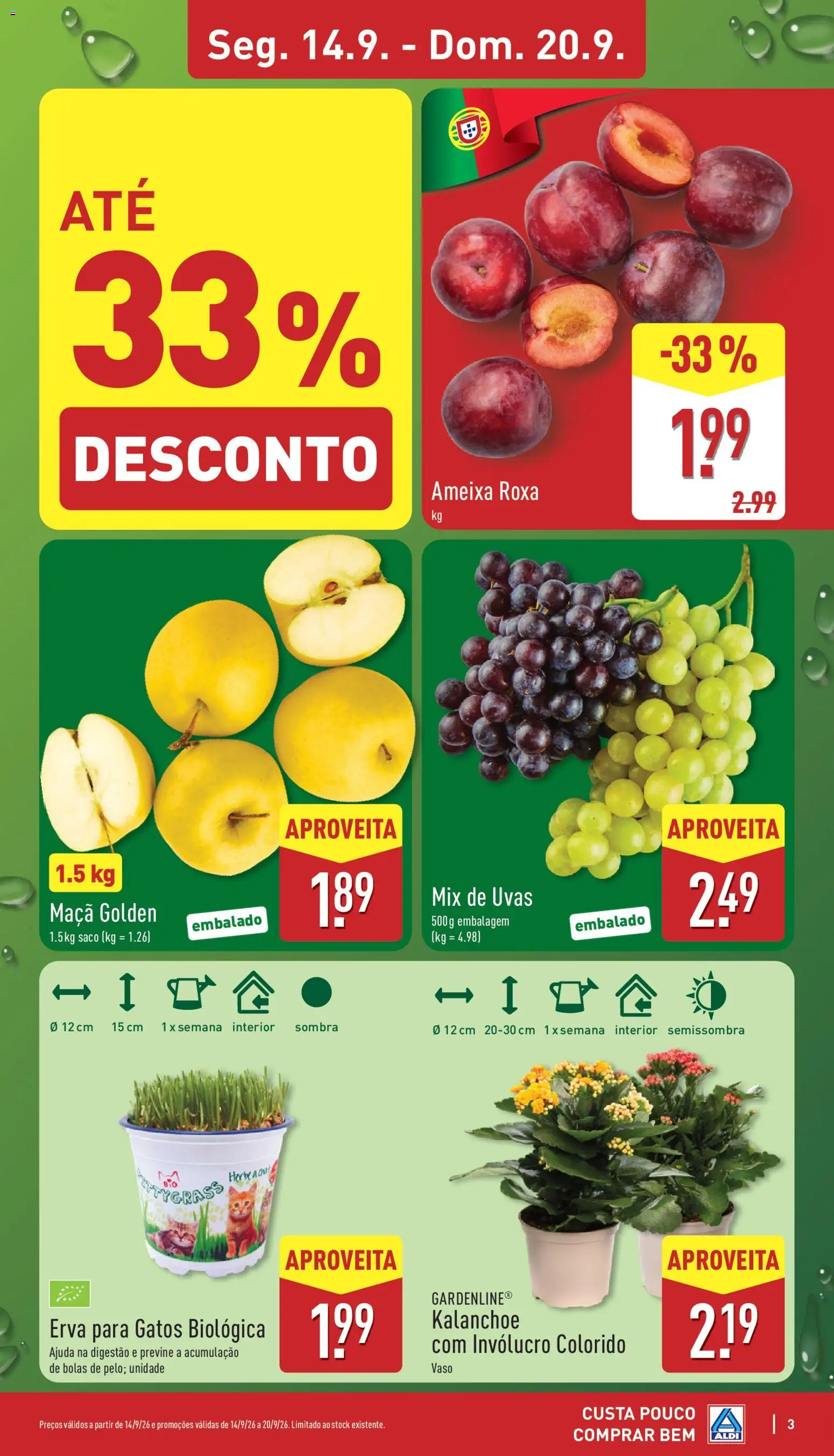 Aldi folheto │ válido de 14/09/2026 | Página: 3 | Produtos: Saco, Maça, Vaso, Uvas