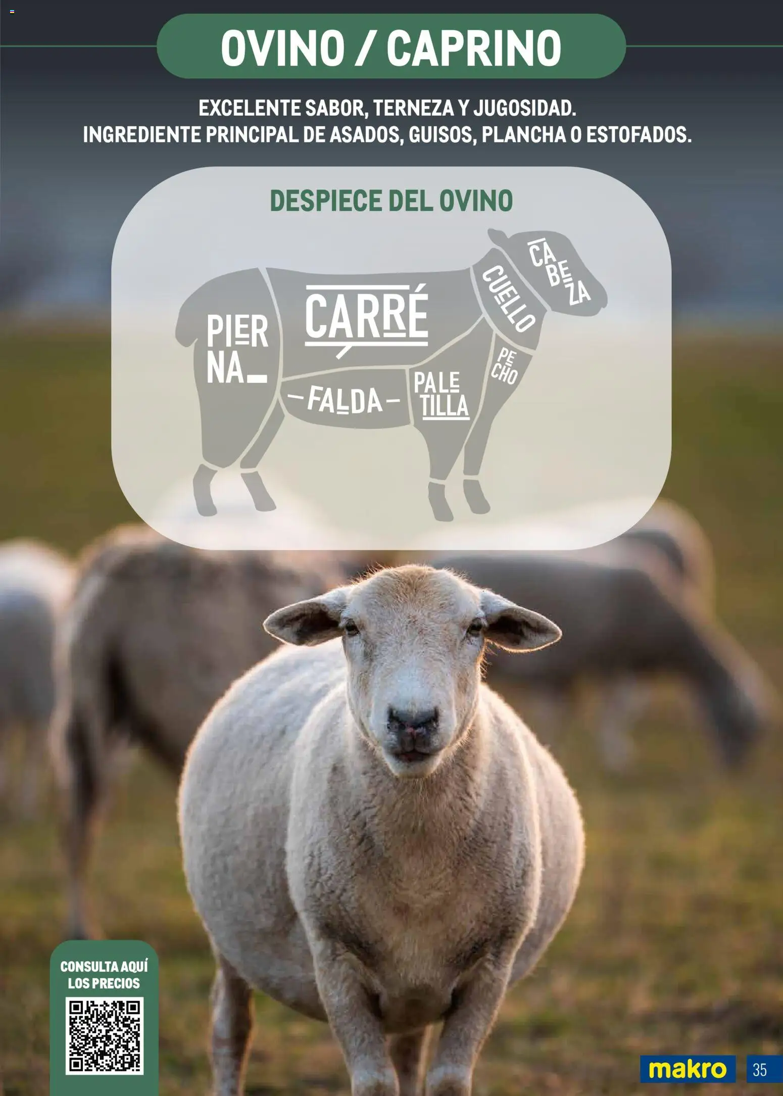 Makro - Expertos en carnes │ válido desde el 09.03.2026 | Página: 35 | Productos: Plancha
