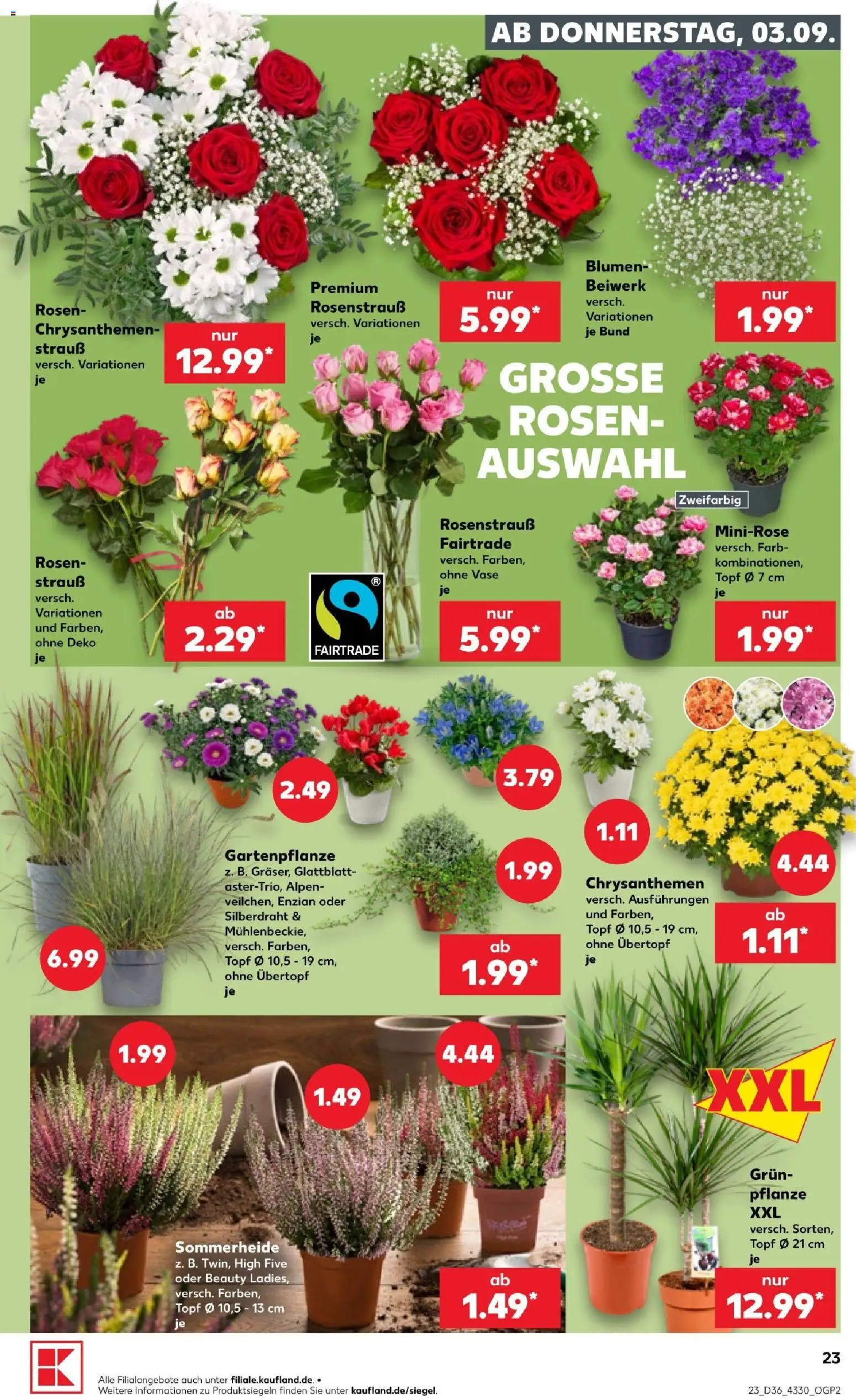 Kaufland Prospekt Potsdam – gültig ab 03.09.2026 | Seite: 23 | Produkte: Trauben, Wein