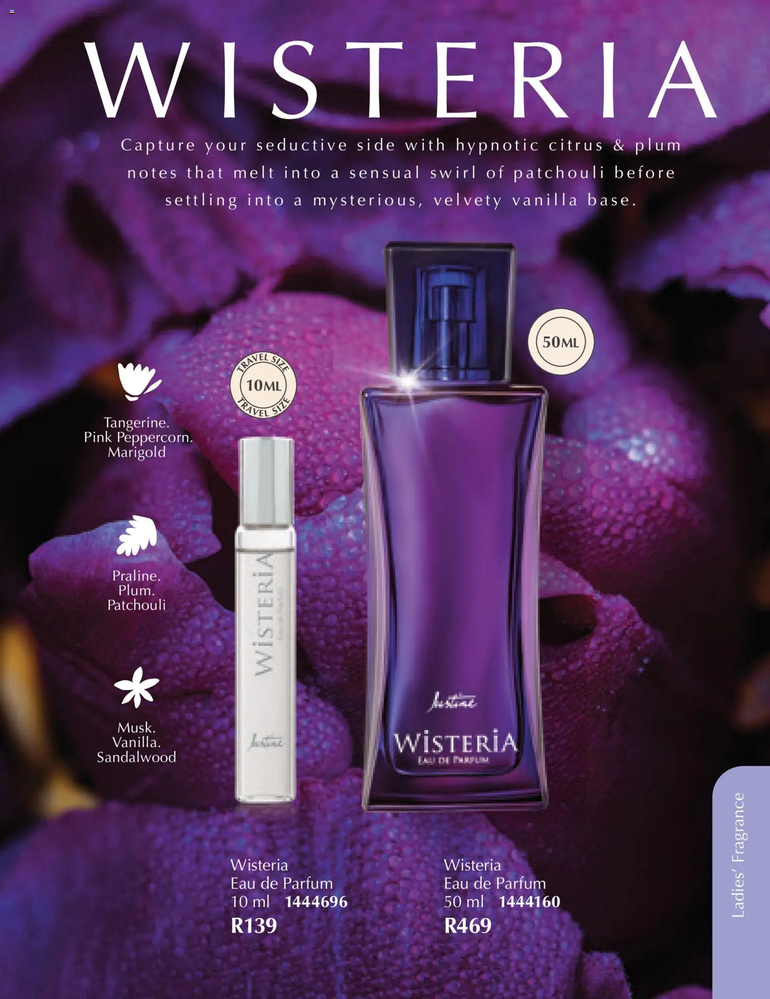 New Justine catalogue – valid from 01/03/2026 | Page: 47 | Products: Vanilla, Fragrance