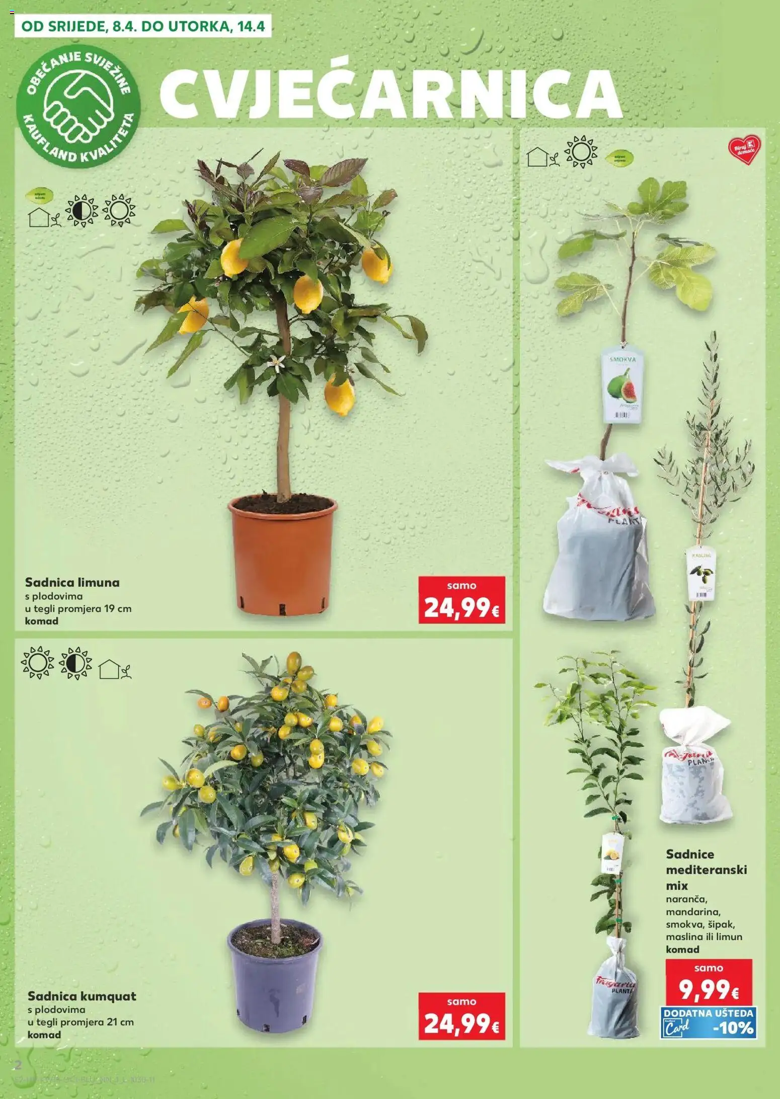Kaufland katalog | vrijedi od 08.04.2026 | Stranica: 2 | Proizvodi: Sadnice, Limun