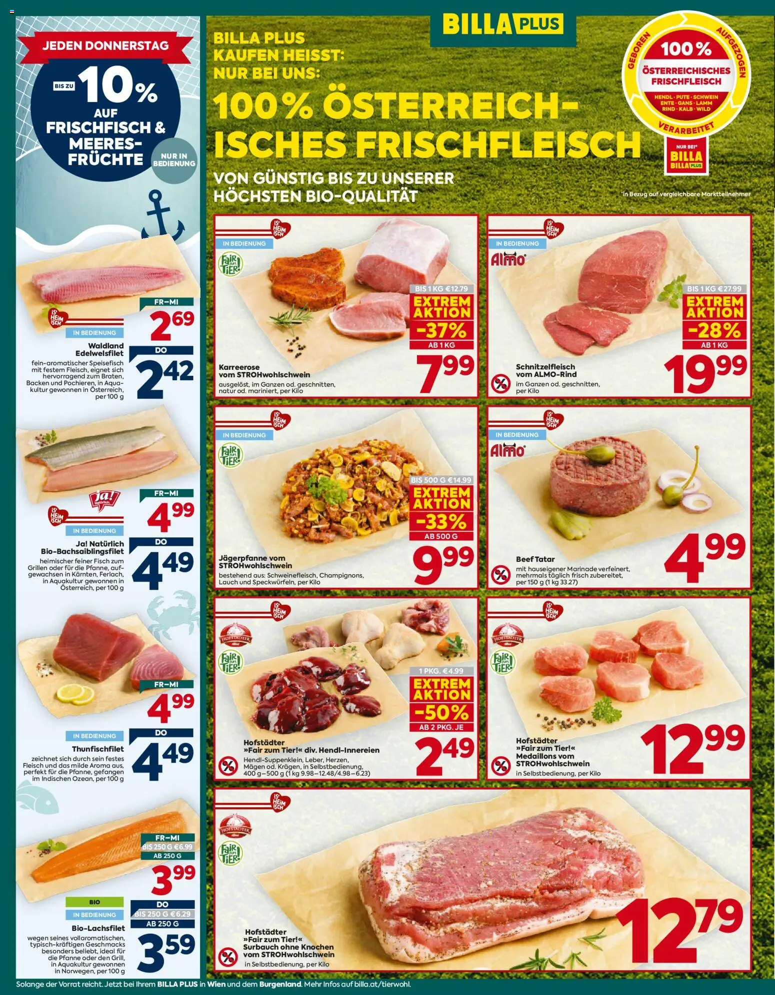 Billa Plus Flugblatt gültig ab 15.10.2026 | Seite: 10