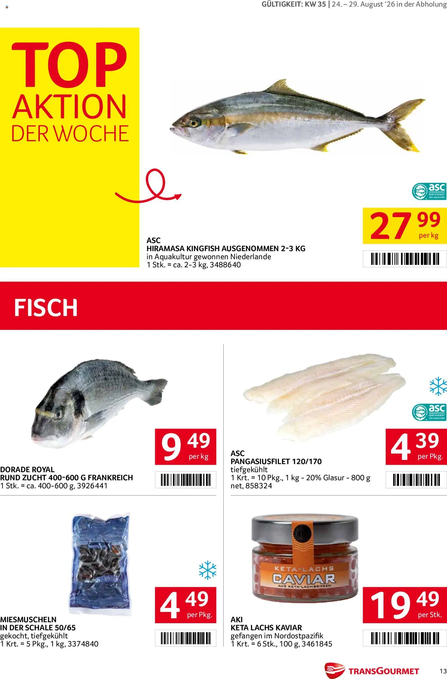 Transgourmet Flugblatt gültig ab 24.08.2026 | Seite: 13 | Produkte: Fisch