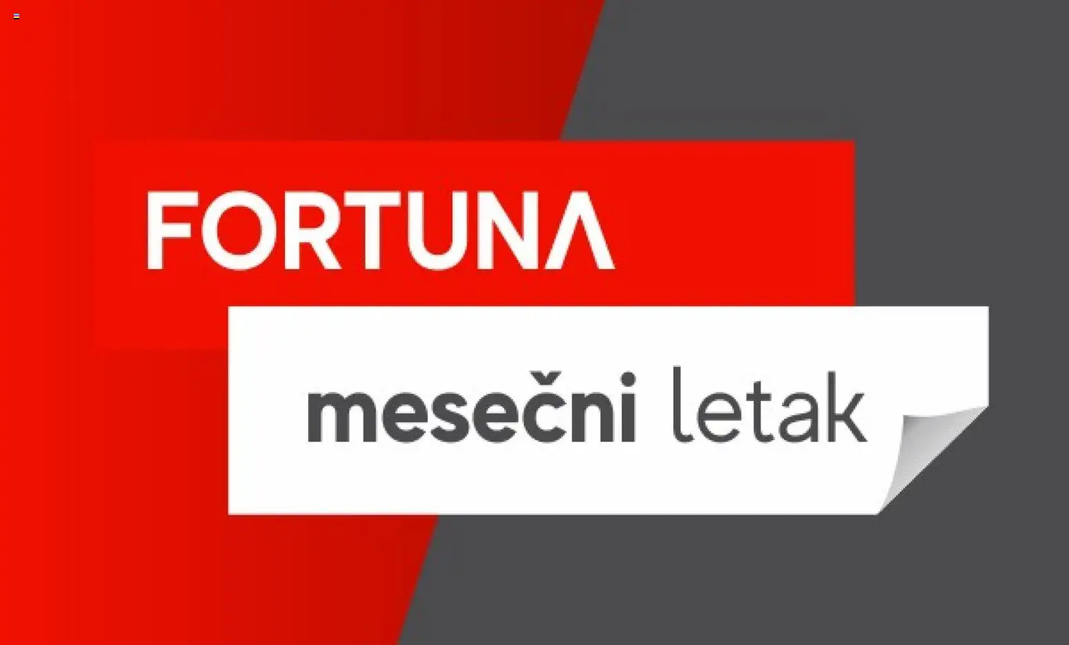 Fortuna Market katalog - važi od 27.08.2026 | Strana: 13