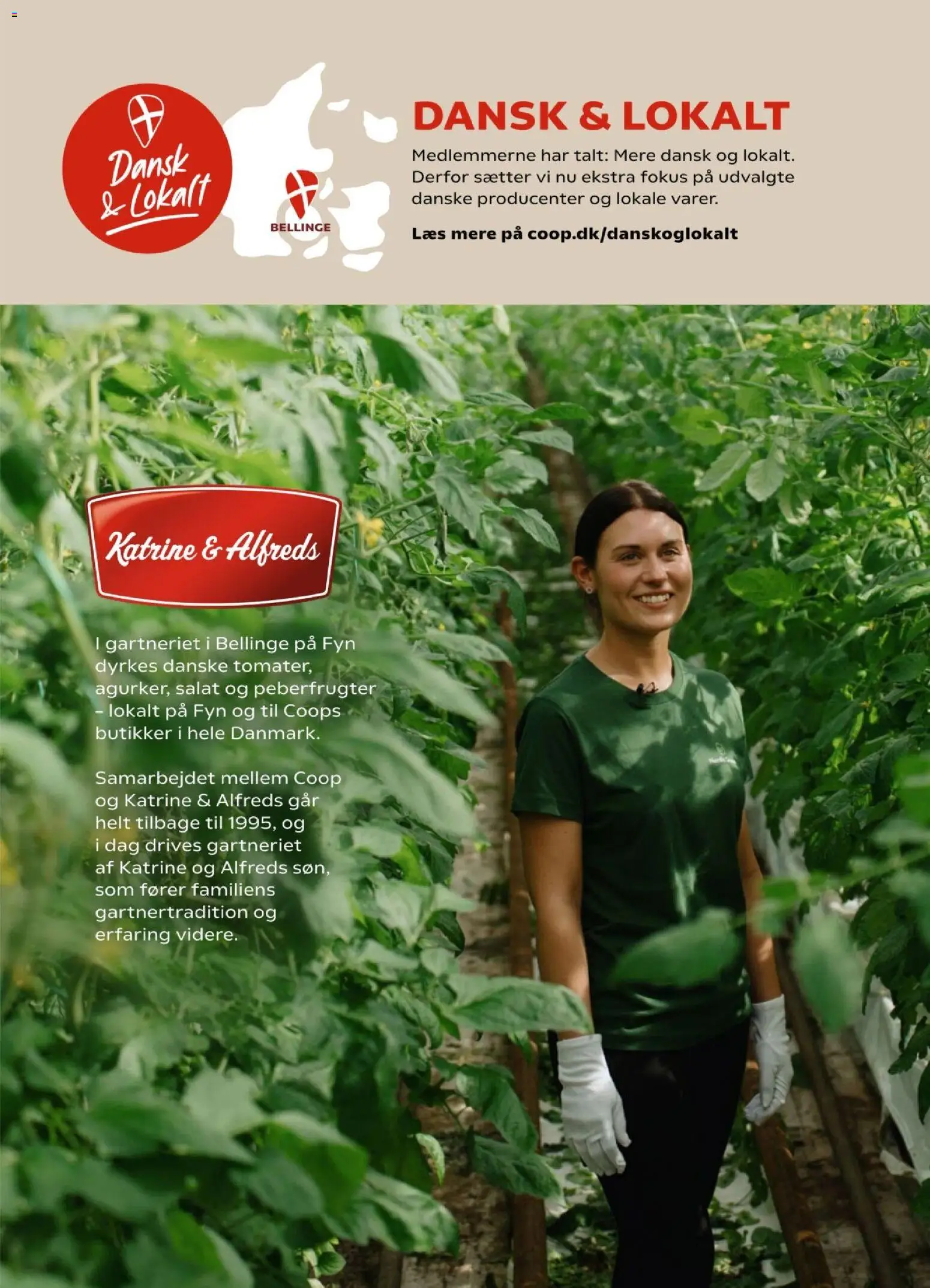 Kvickly tilbudsavis – gyldig fra 12.06.2026 | Side: 17 | Produkter: Salat, Peberfrugter, Søm