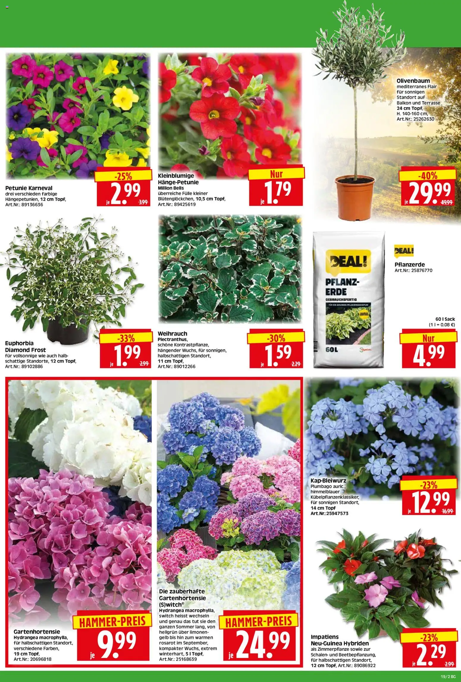 HERKULES Bau & Garten – gültig ab 04.05.2026 | Seite: 2 | Produkte: Pflanzerde
