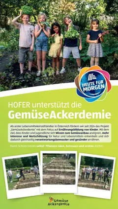 Hofer Flugblatt ab 19.06.2026 gültig | Seite: 21