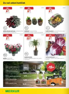 Merkur katalog akcije – veljaven od 05.08.2026 | Stran: 16 | Izdelki: Zelenjava, Zelena