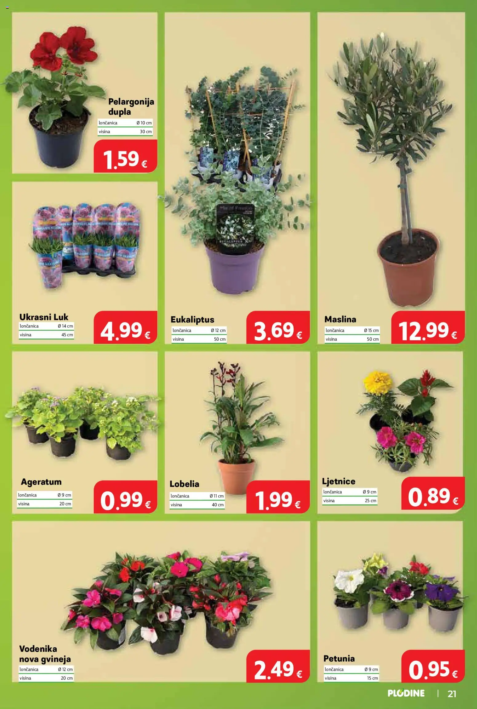 Plodine katalog | vrijedi od 10.06.2026 | Stranica: 21 | Proizvodi: Luk