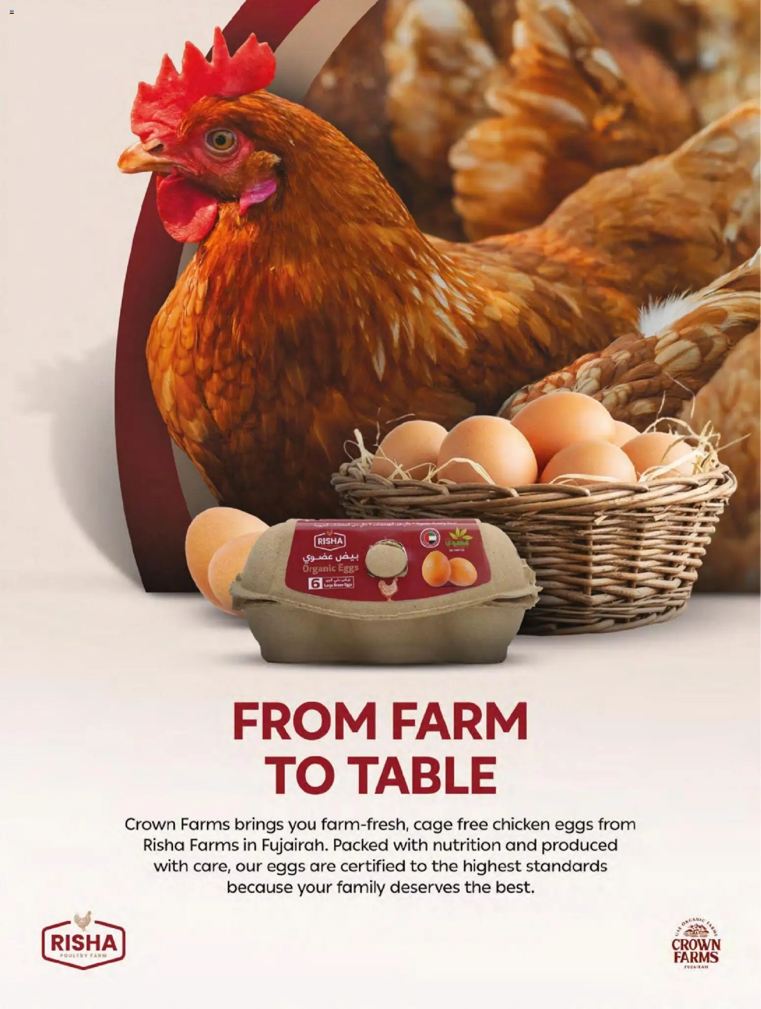 {H1} | Page: 82 | Products: Eggs, Chicken, Table
