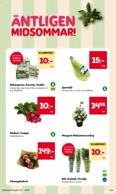 Dill, Gräslök, Persilja, Sverige, klass 1, I kruka - Förhandsvisning av reklamblad från butik Hemköp aktuell från 15.06.2026 | Sida: 7 | Produkter: Babyspenat, Kruka, Persilja