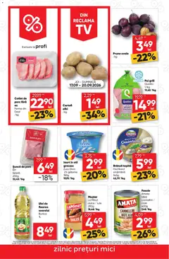 Ofertele Profi valabile de la 17.09.2026 | Pagină: 2