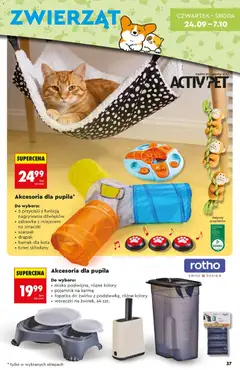 Pogląd oferty "Skarpety damskie Pompea, 3-pak, Skarpety damskie Pompea, 3-pak, rozmiar 35-42." - ważna od 19.09.2026 | Strona: 39 | Produkty: Majtki, Biustonosz, Skarpety, Skarpety damskie