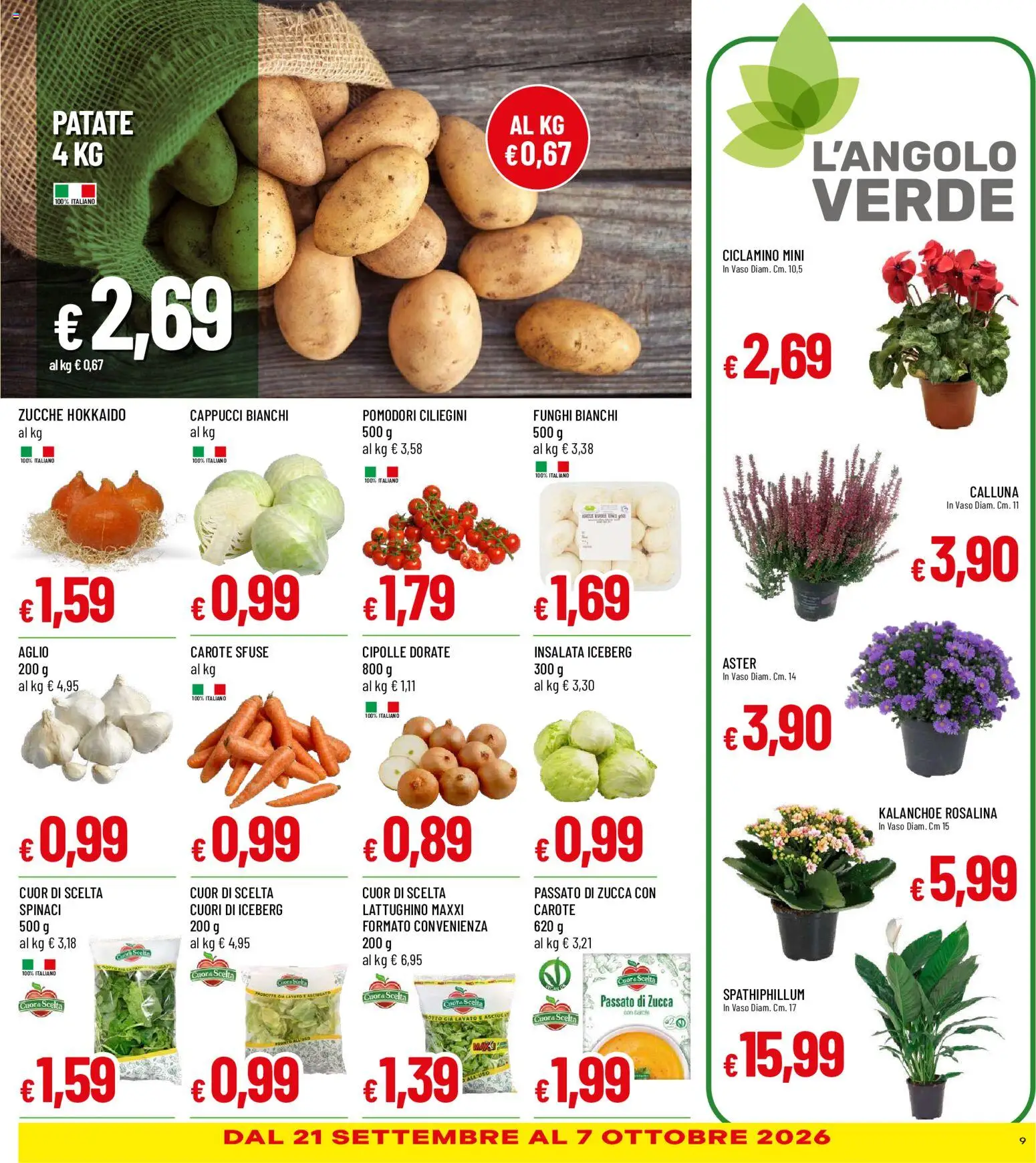 Volantino Galassia del 17/09/2026 | Pagina: 9 | Prodotti: Cipolle, Carote, Funghi, Zucca