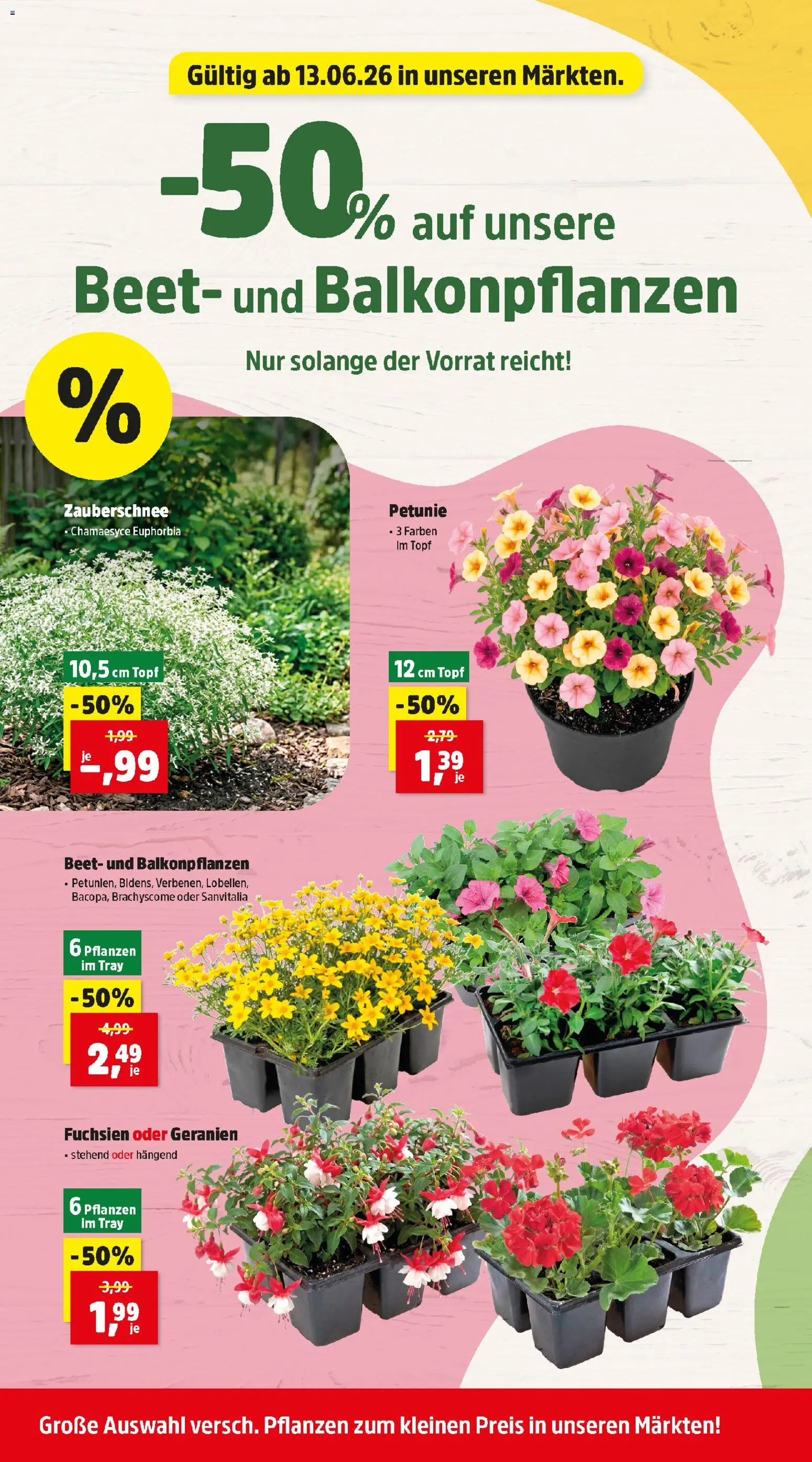Thomas Philipps Flugblatt gültig ab 15.06.2026 | Seite: 4