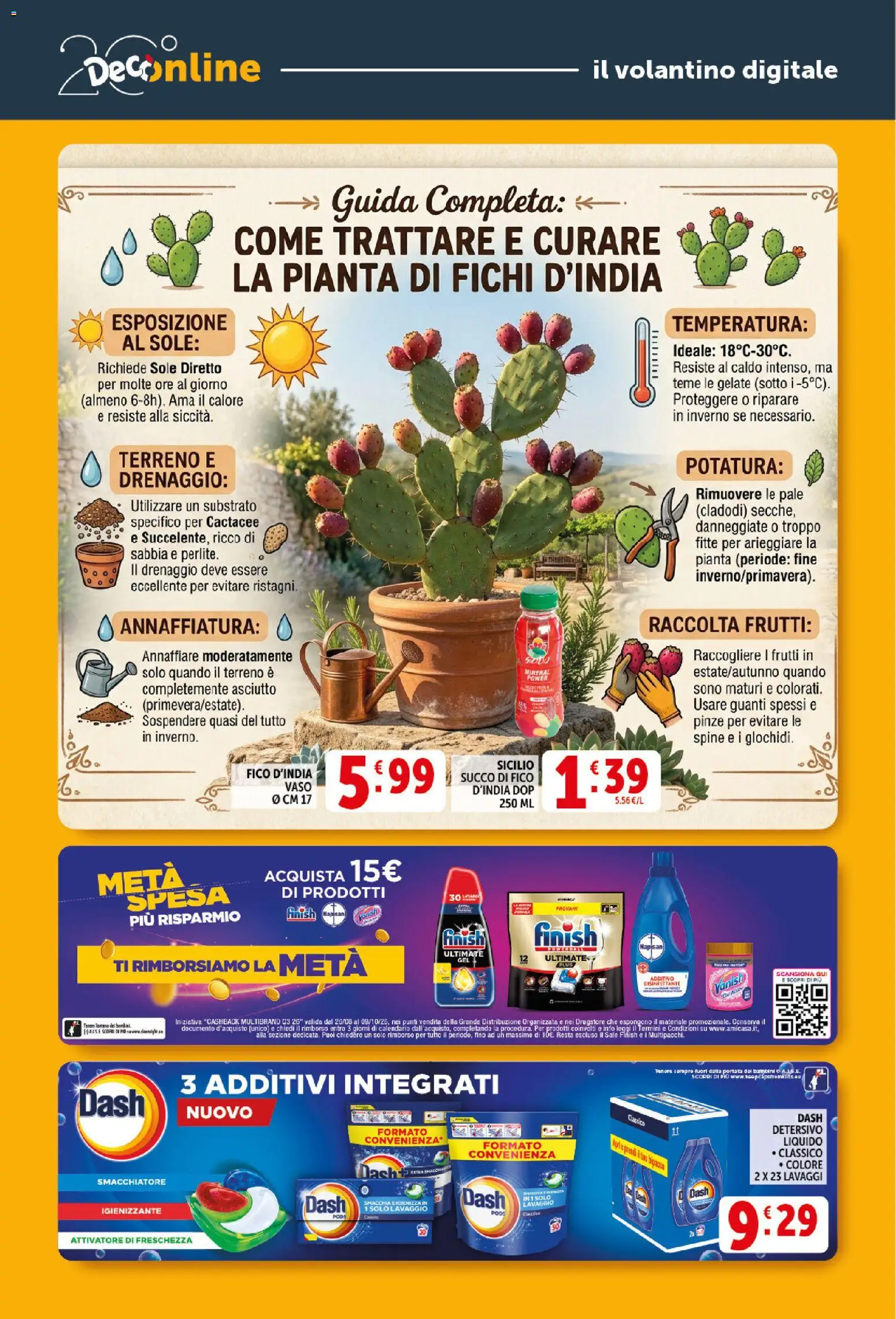 Volantino Decò del 21/08/2026 | Pagina: 30 | Prodotti: Succo, Guanti, Substrato, Pinze