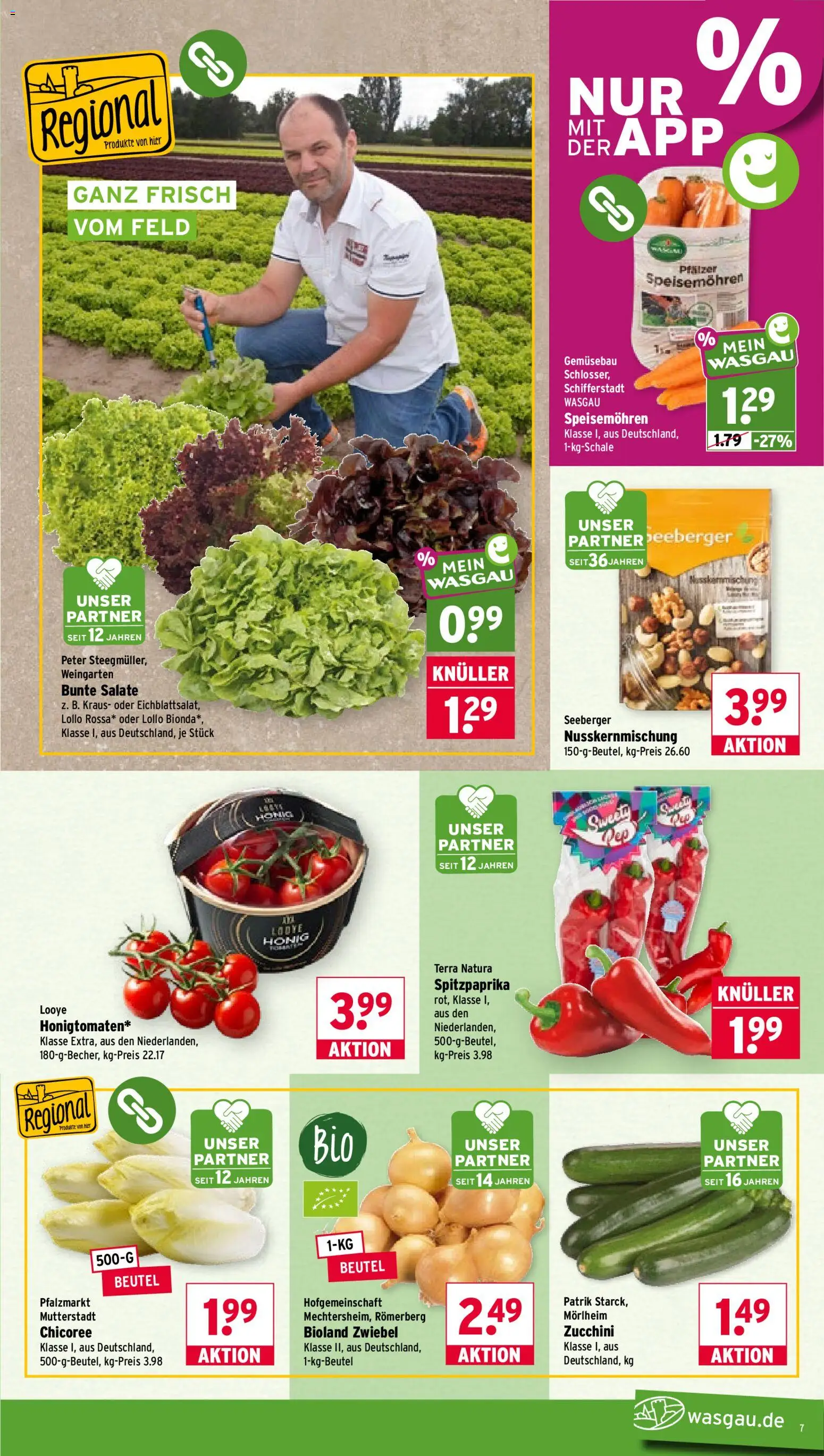 Wasgau Prospekt – gültig ab 13.07.2026 | Seite: 7 | Produkte: Zucchini