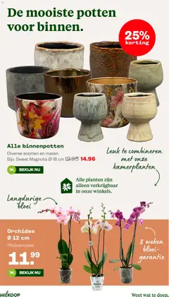 Welkoop folder - Voorbeeld van een folder van Welkoop, geldig van 22-06-2026 | Pagina: 16