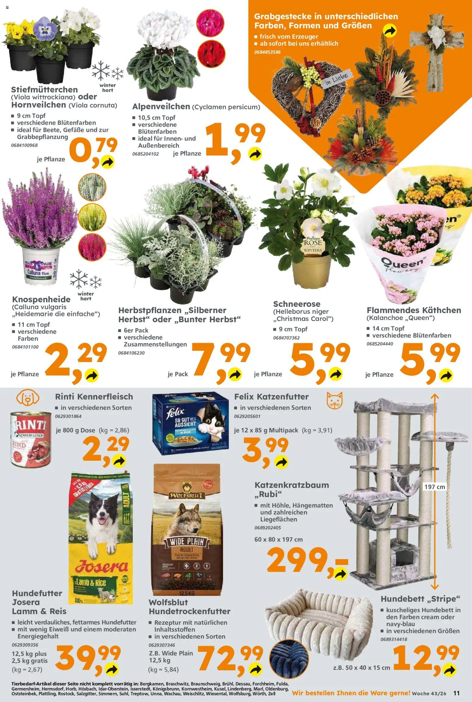Globus Baumarkt Prospekt – gültig ab 19.10.2026 | Seite: 11