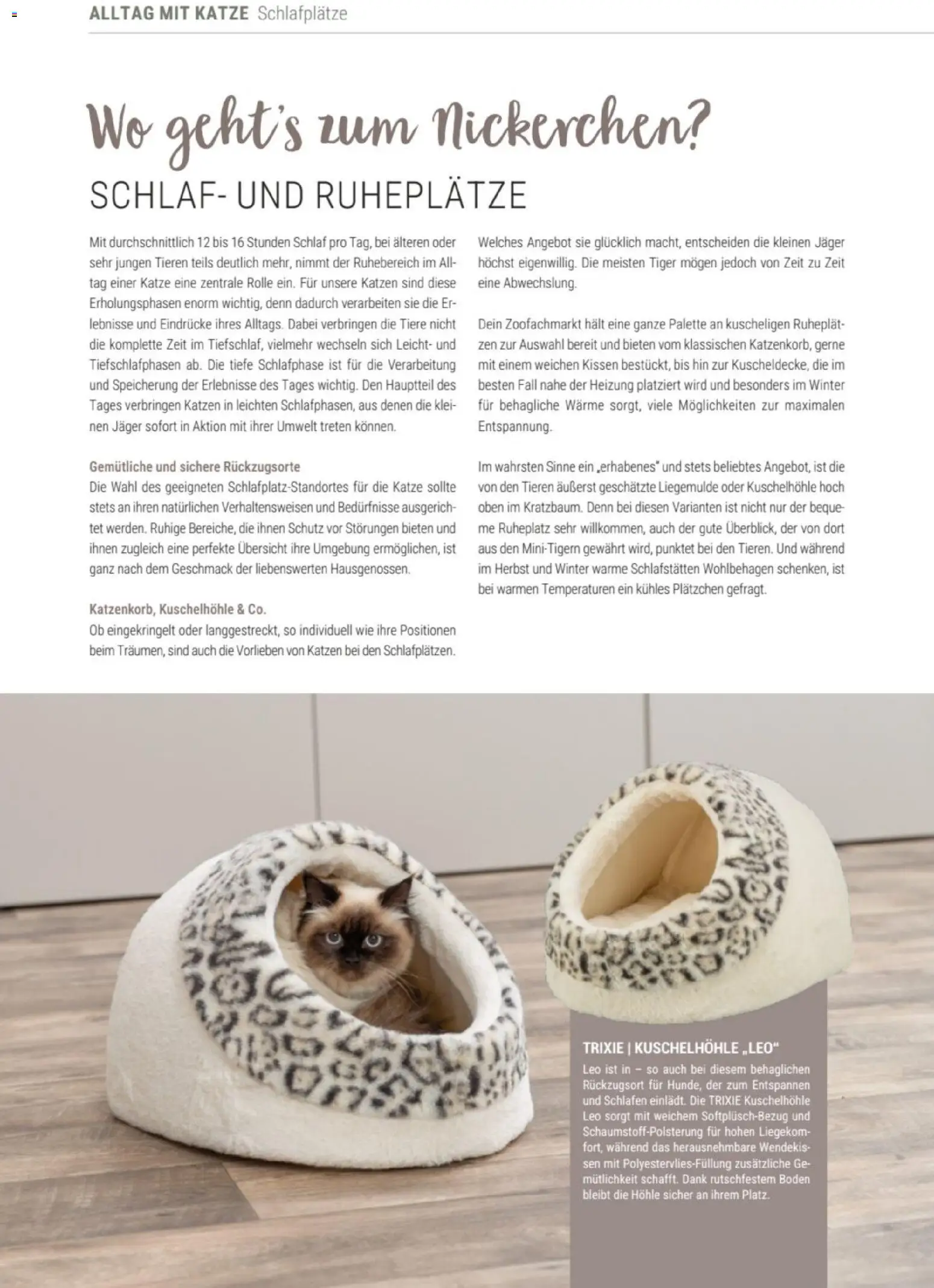 zookauf Themenkatalog Katze – gültig ab 01.10.2026 | Seite: 32 | Produkte: Kissen