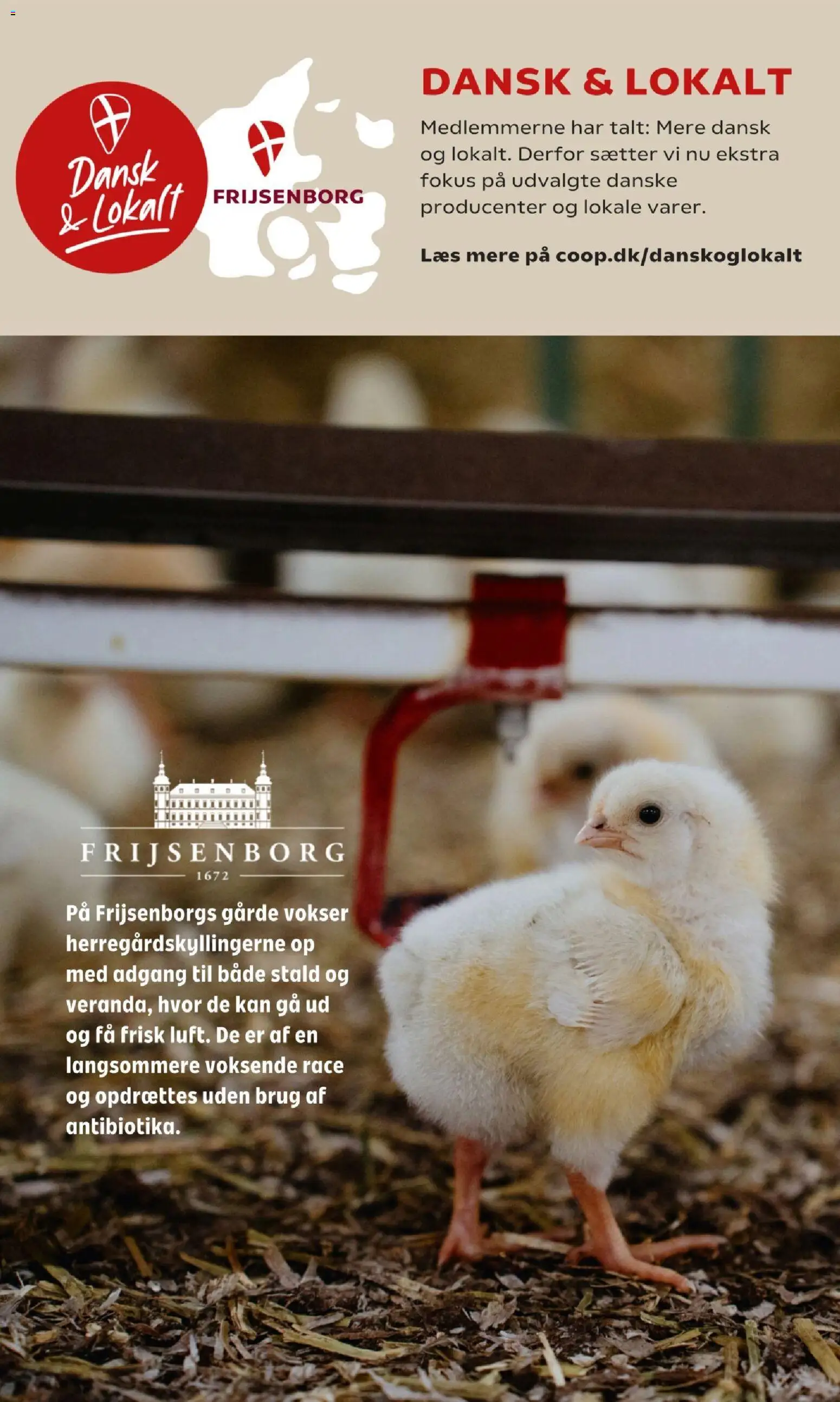 Coop 365 tilbudsavis – gyldig fra 15/10/2026 | Side: 11