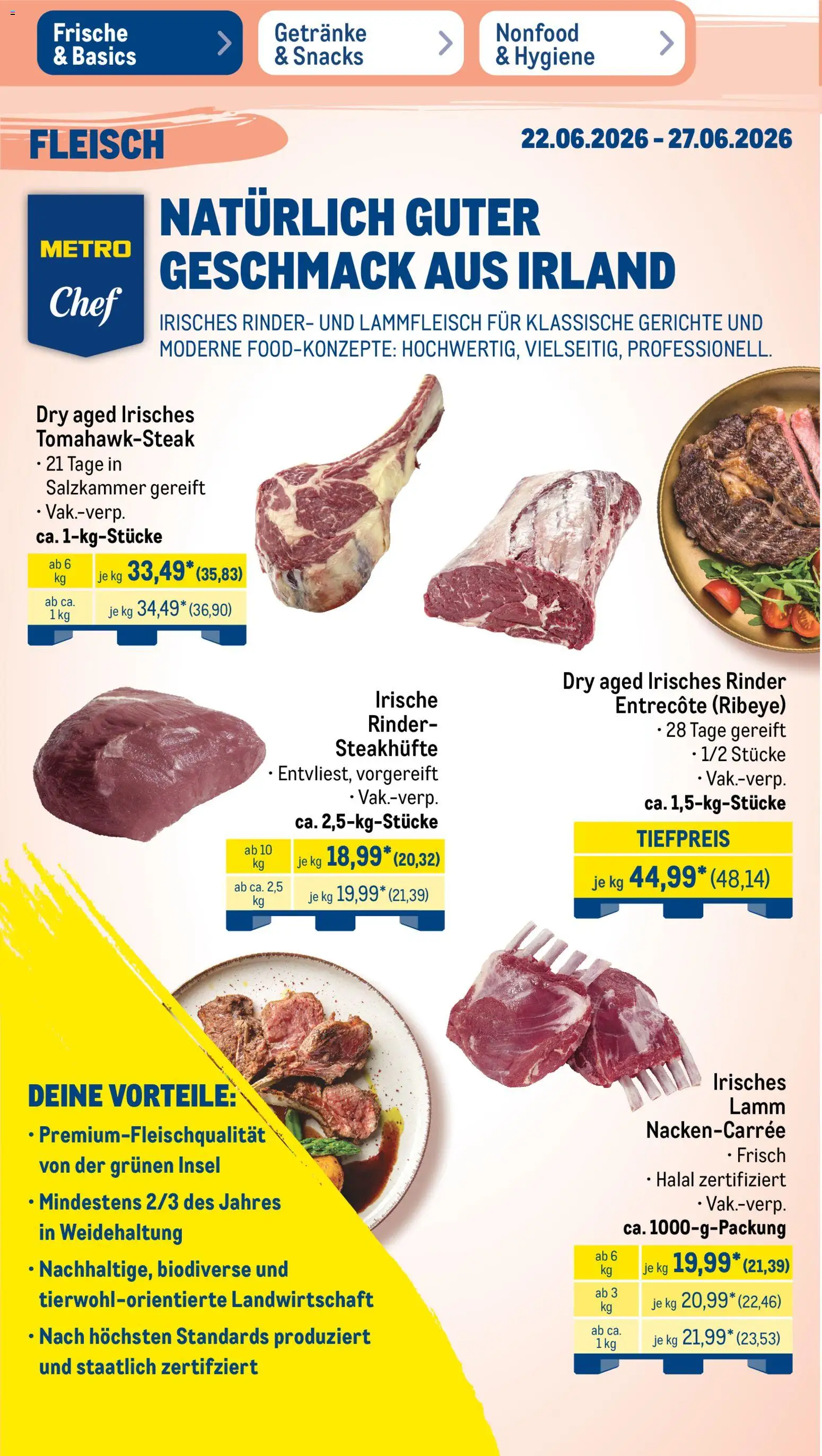 Metro Non Food & Hygiene – gültig ab 22.06.2026 | Seite: 31